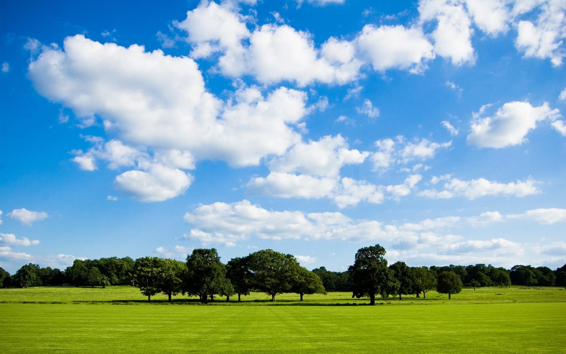 1920x1200 Beautiful summer day in the park