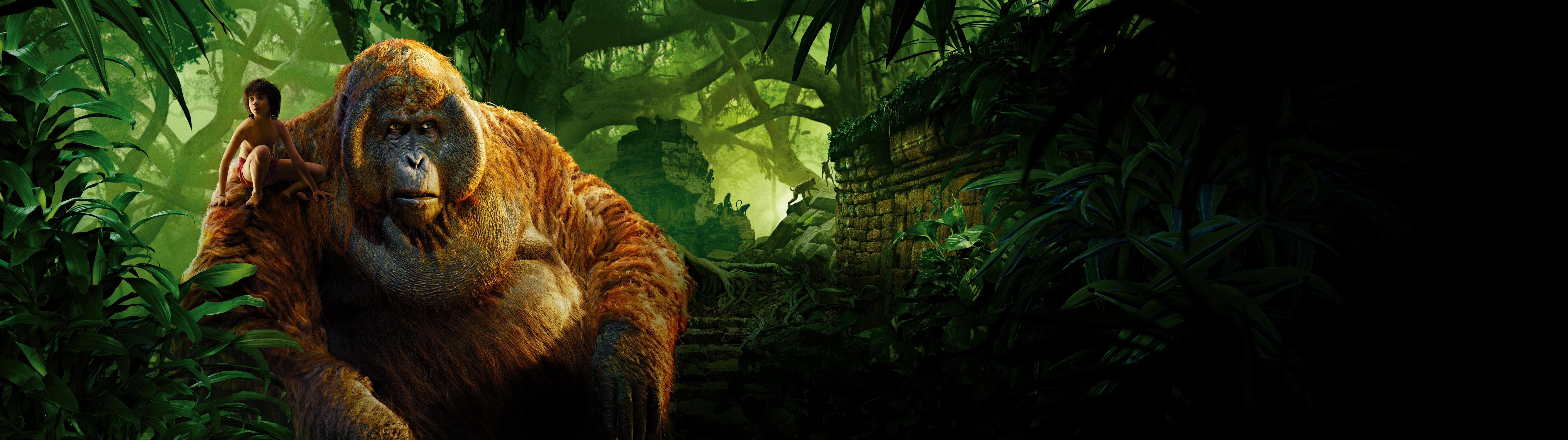 7200x2023 image The Jungle Book 2016 Boys Monkeys King Louis, 7200x2023