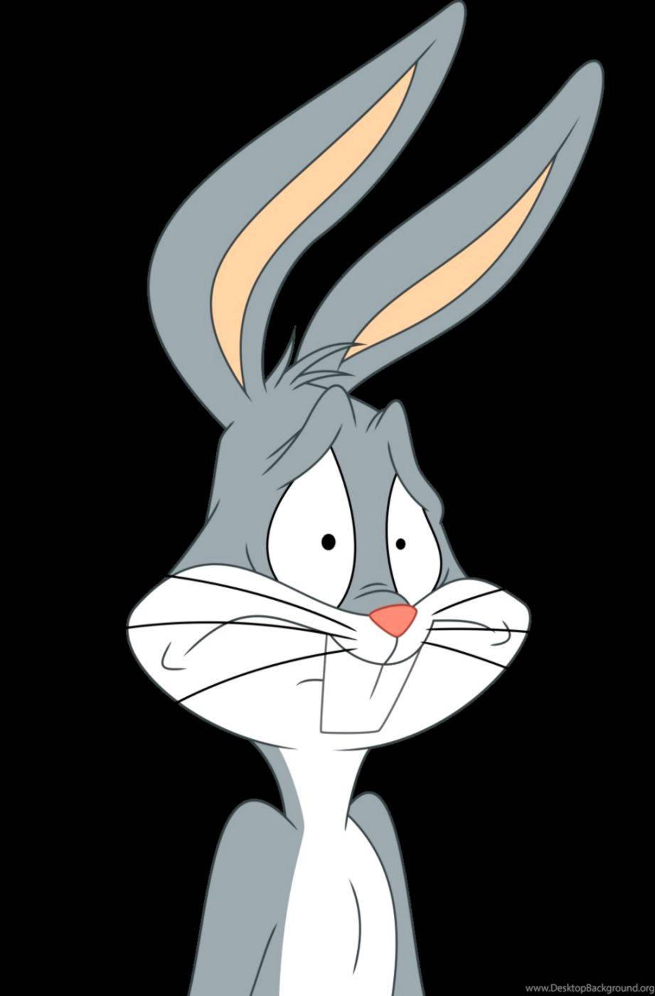 921x1399 Download Bugs Bunny Wallpaper