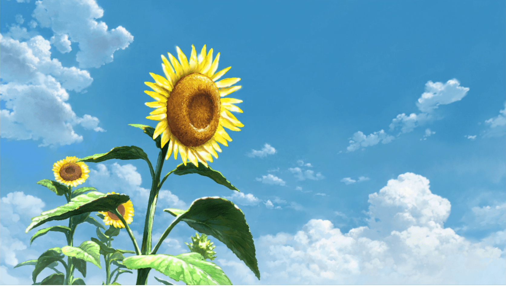 1673x946 Summer Days With Coo Sunflower. Summer days, Summer, Wallpaper