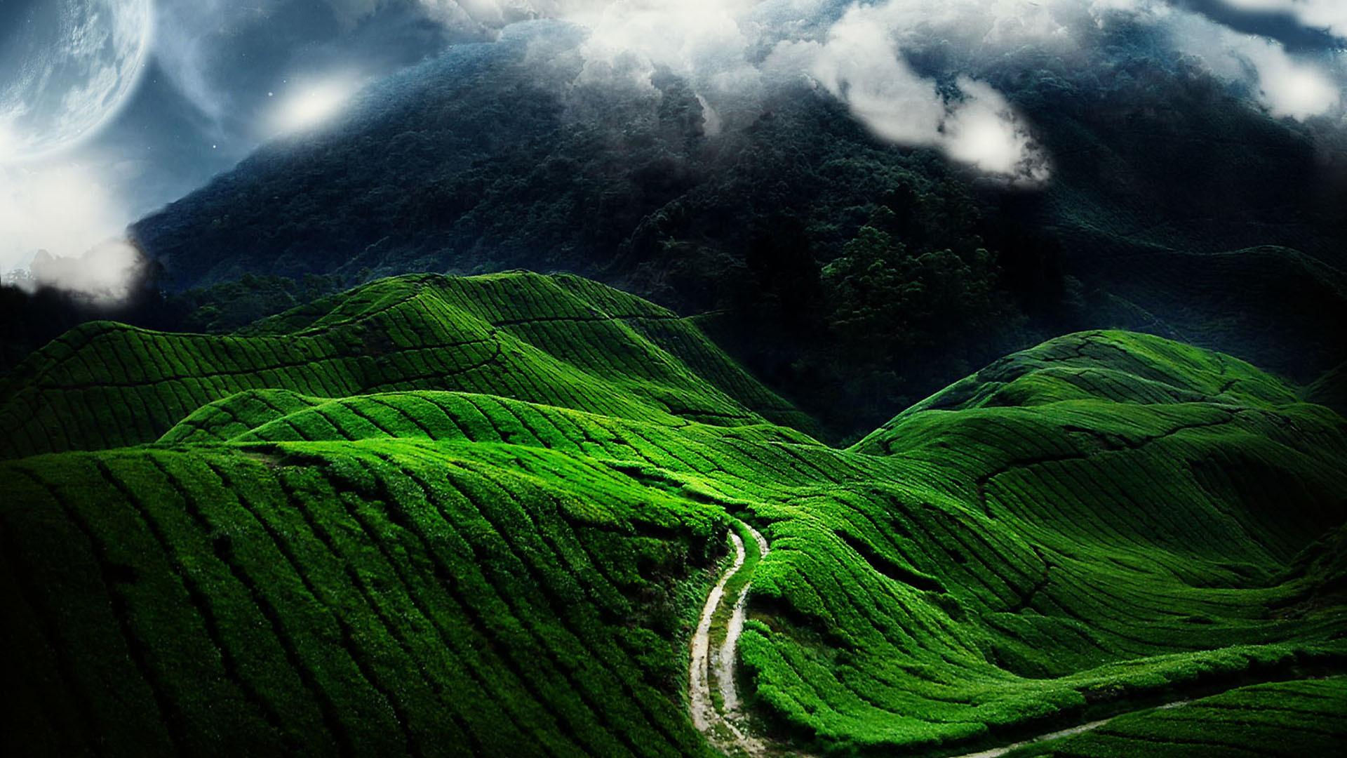1920x1080 Grass Covered Mountain Road 1440x25602021911 Resolution Wallpaper, HD Nature 4K Wallpaper, Image, Photo and Background