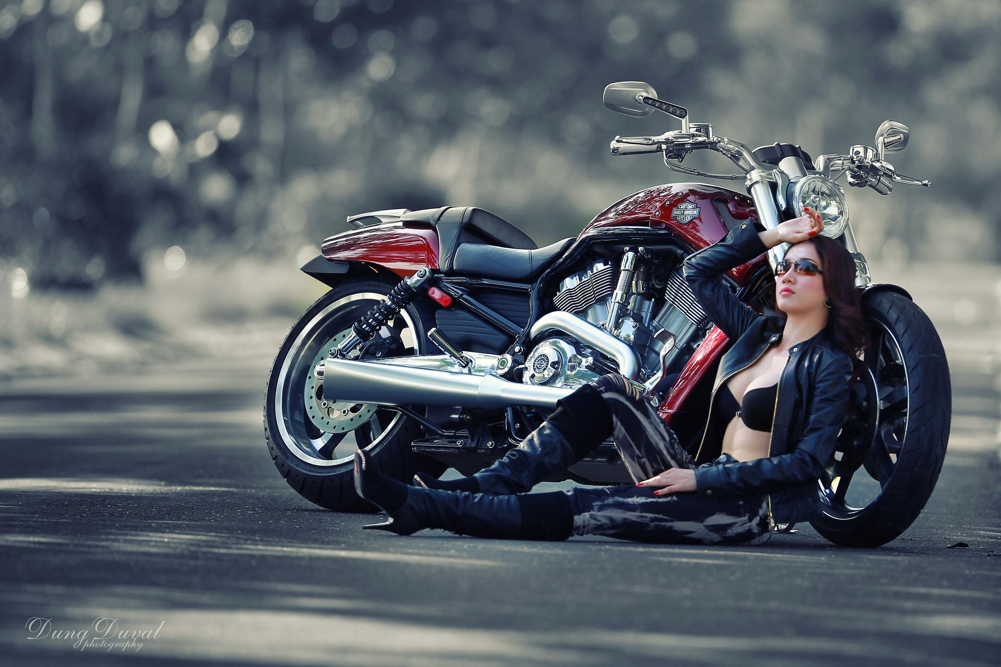 2048x1365 Harley Davidson Desktop Wallpaper