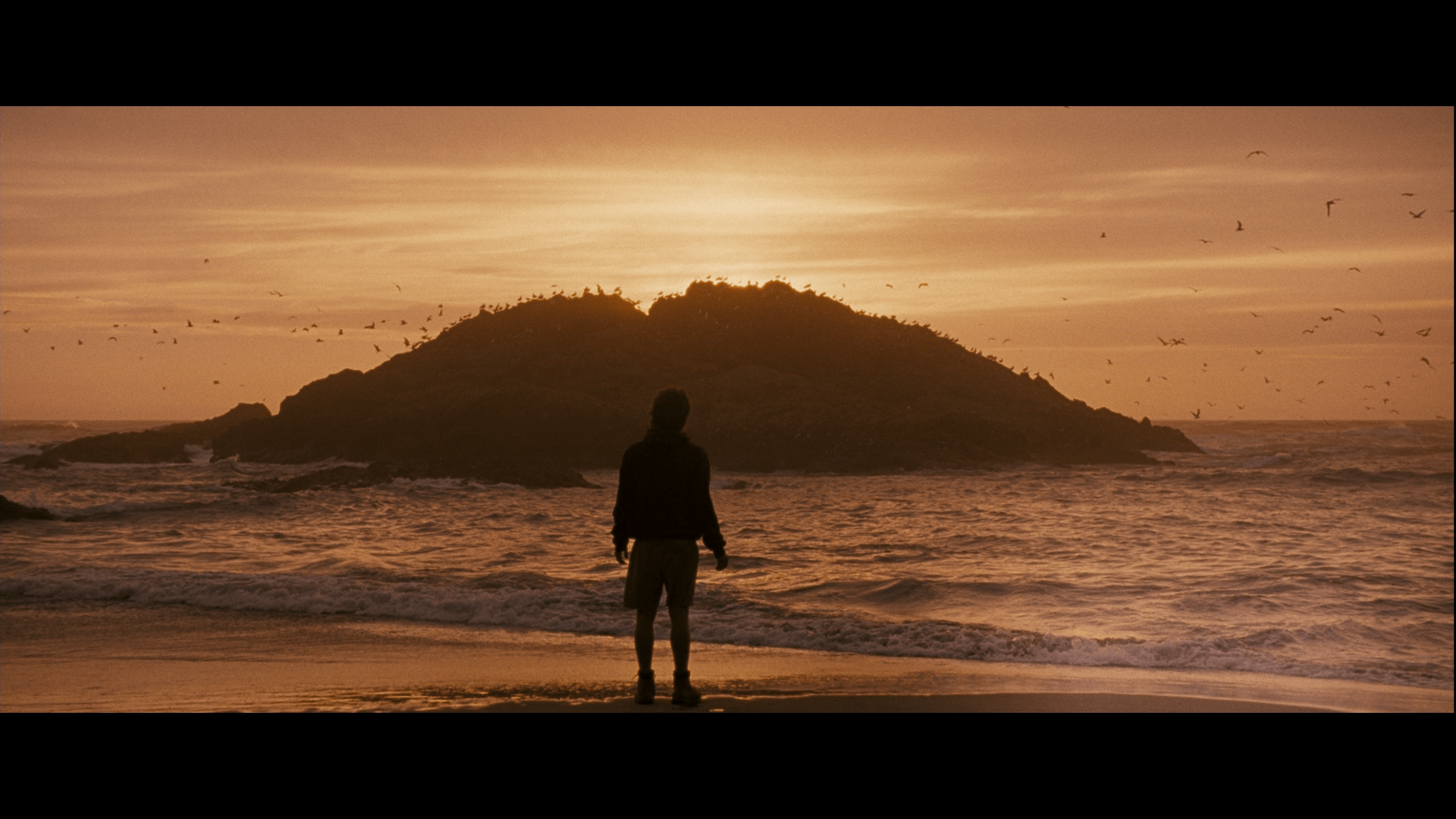 1920x1080 Into The Wild 4K Ultra HD Background
