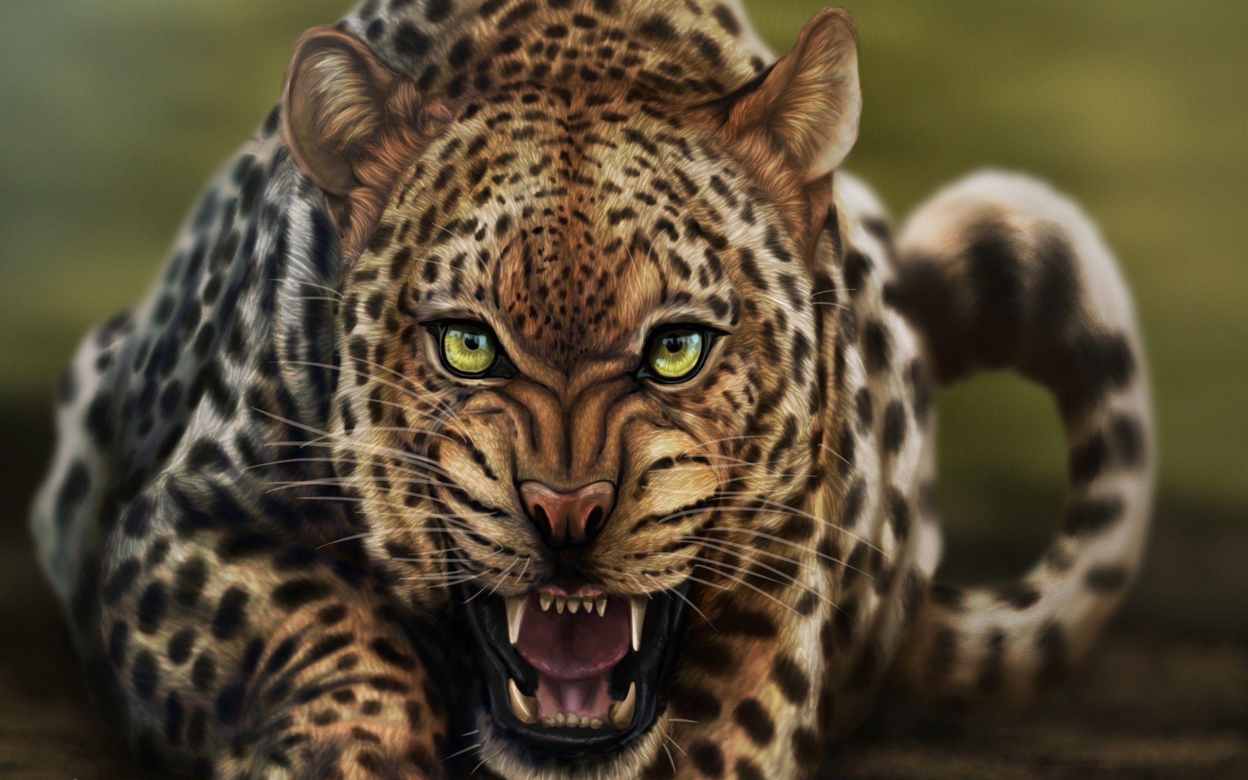 2560x1600 Leopard Wallpaper HD