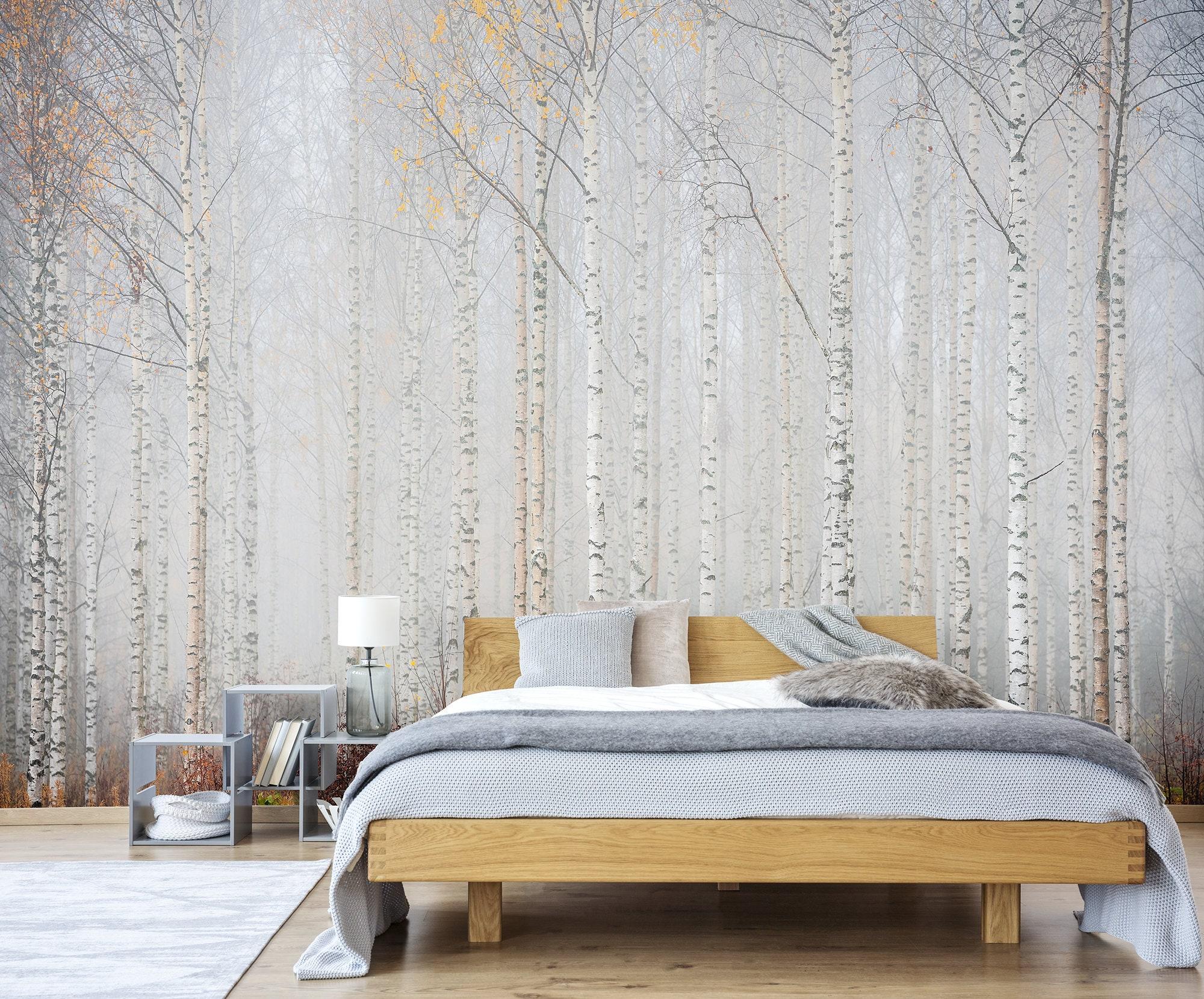 2000x1659 Birch Tree Forest Wallpaper Self Adhesive Peel and Stick
