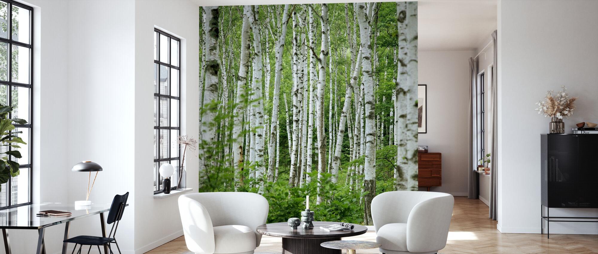 2000x850 Summer Birch Trees