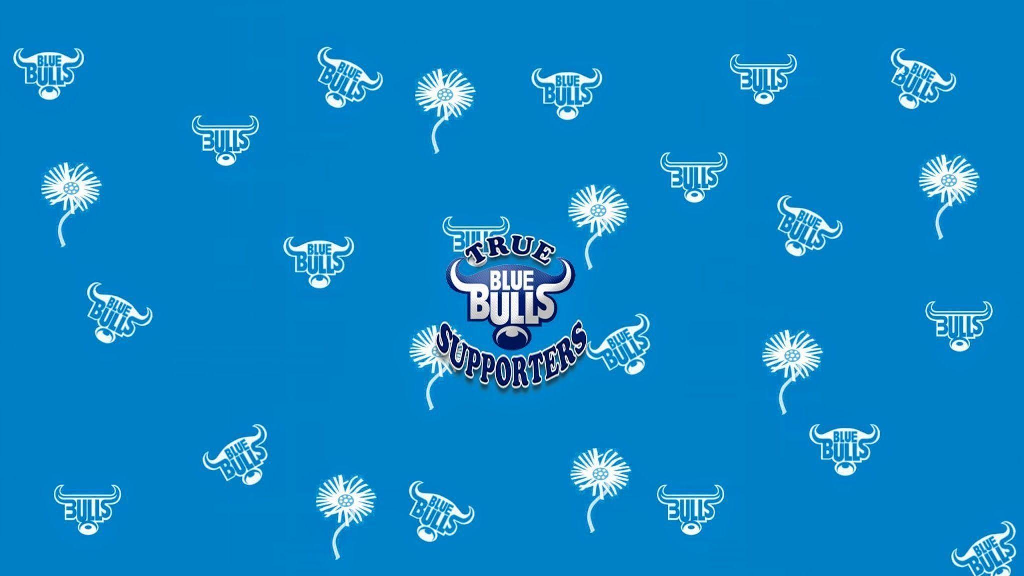 2048x1152 Blue Bulls Wallpaper