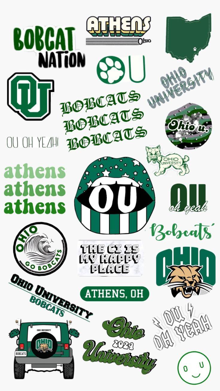 736x1309 Ohio University collage