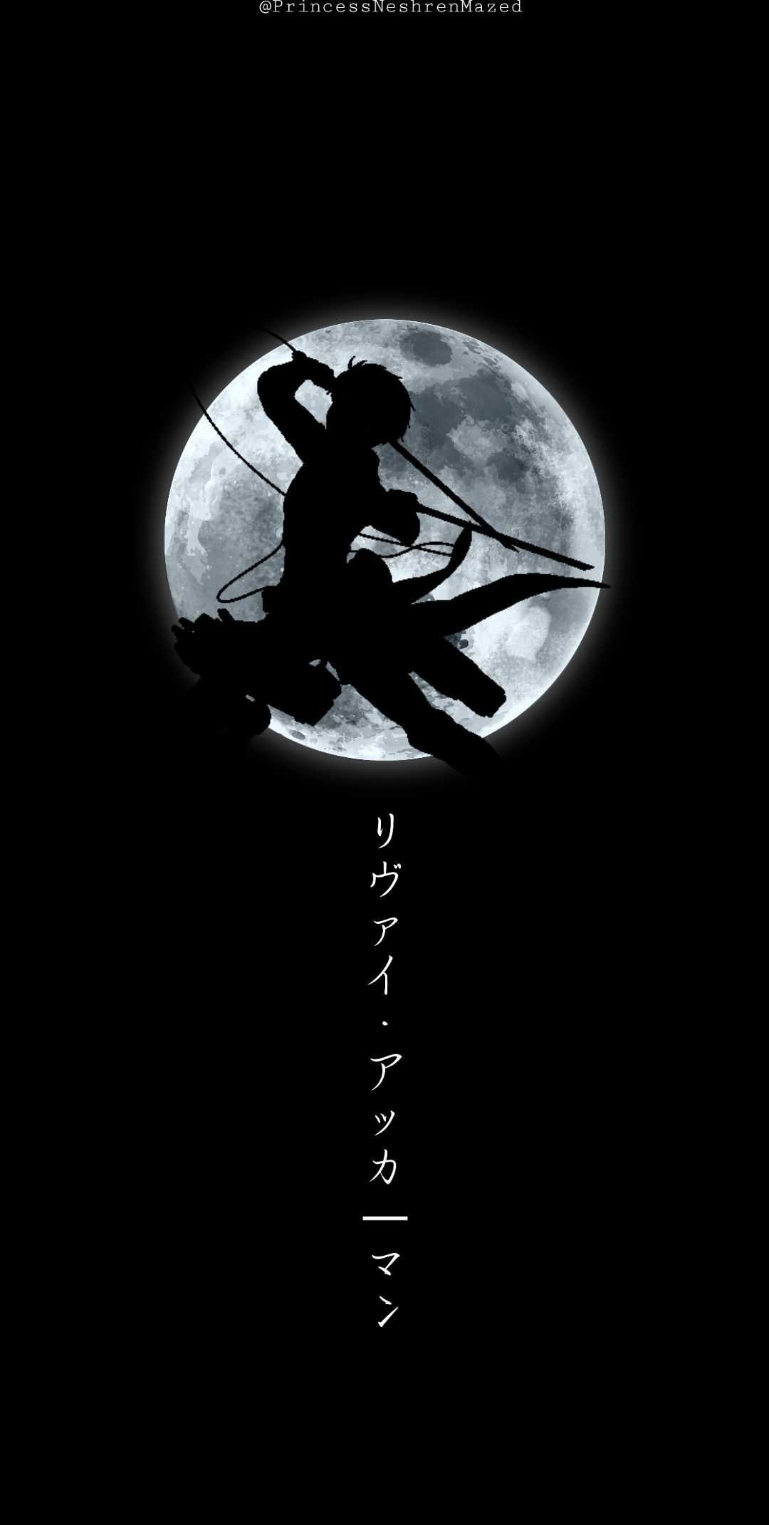 1080x2141 Attack On Titan Wallpaper