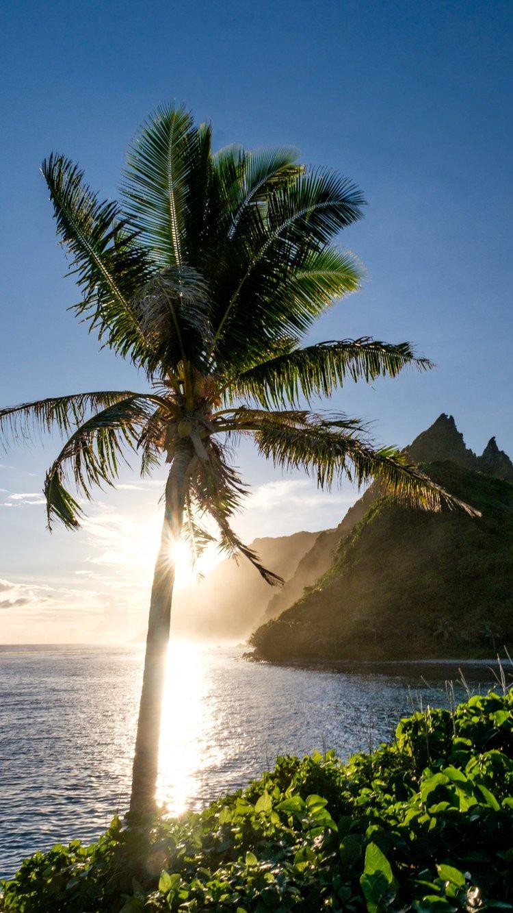 750x1333 American Samoa National Park Mobile