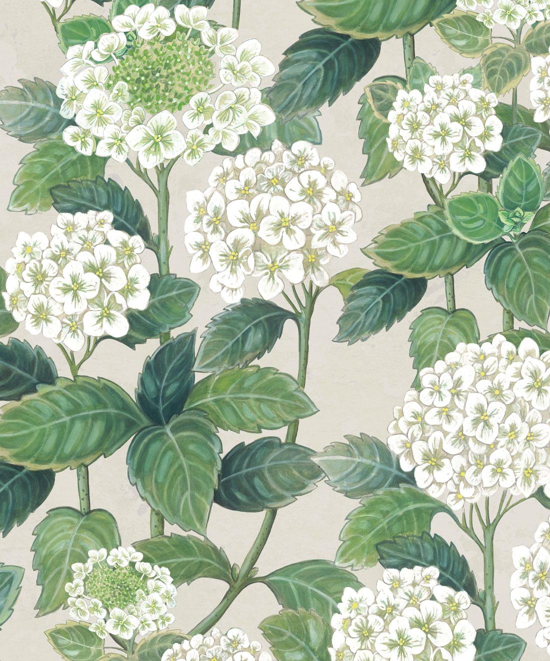 1100x1320 Hydrangea Garden Wallpaper • Gorgeous Florals