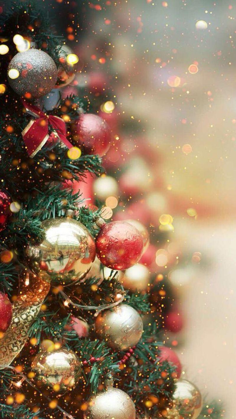 800x1420 Best Christmas Wallpaper For iPhone