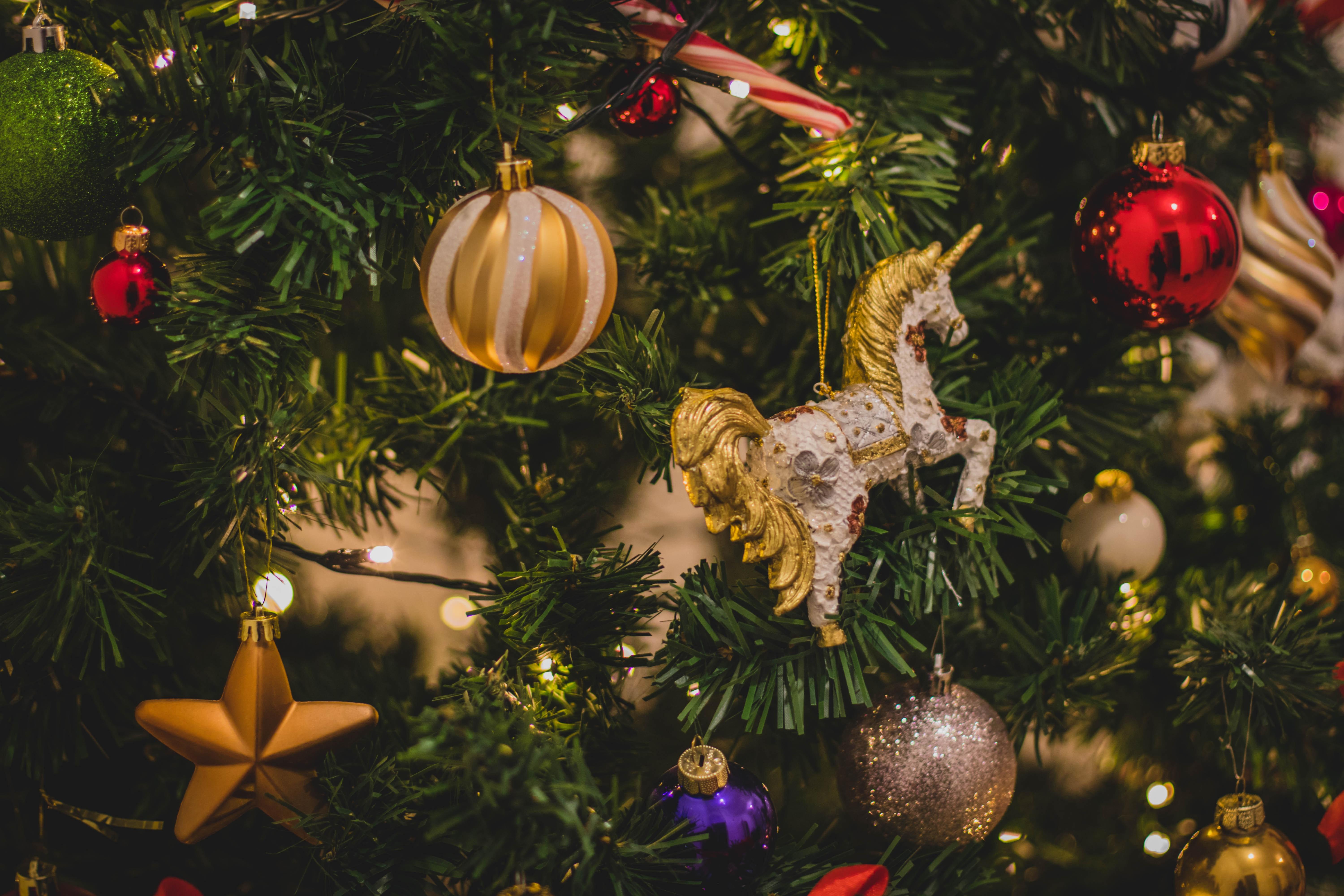 6000x4000 Christmas Decor Photo, Download Free Christmas Decor & HD Image