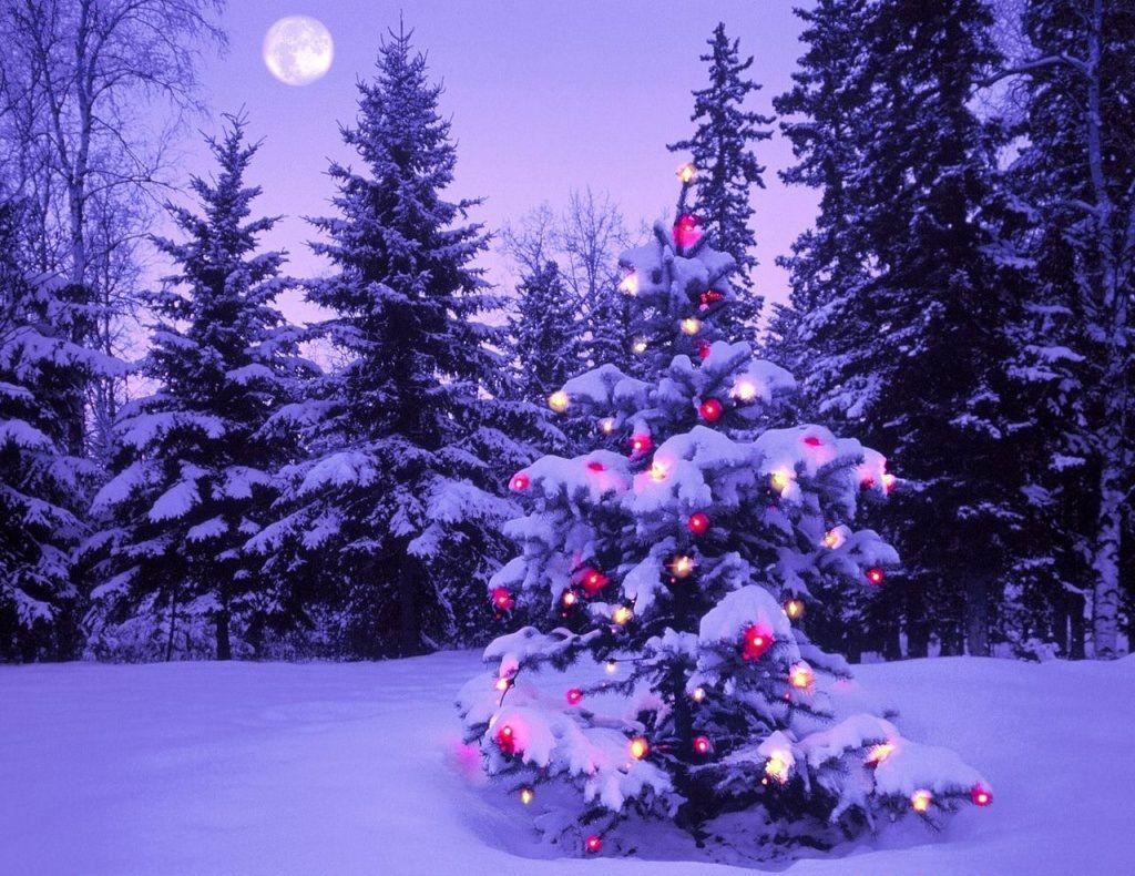 1024x790 photo trick: beautiful christmas HD wallpaper