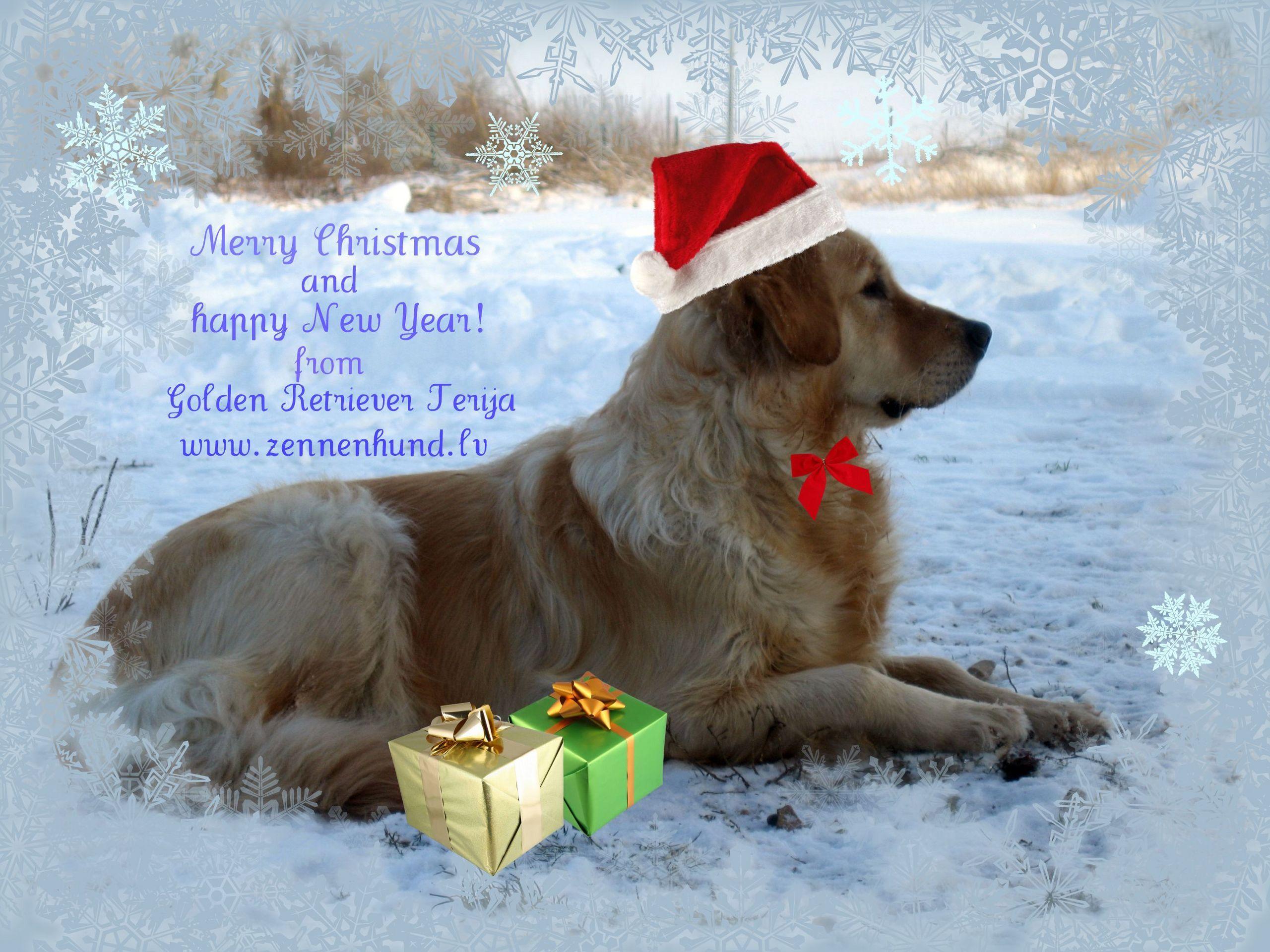 2560x1920 something nice image christmas HD wallpaper and background photo