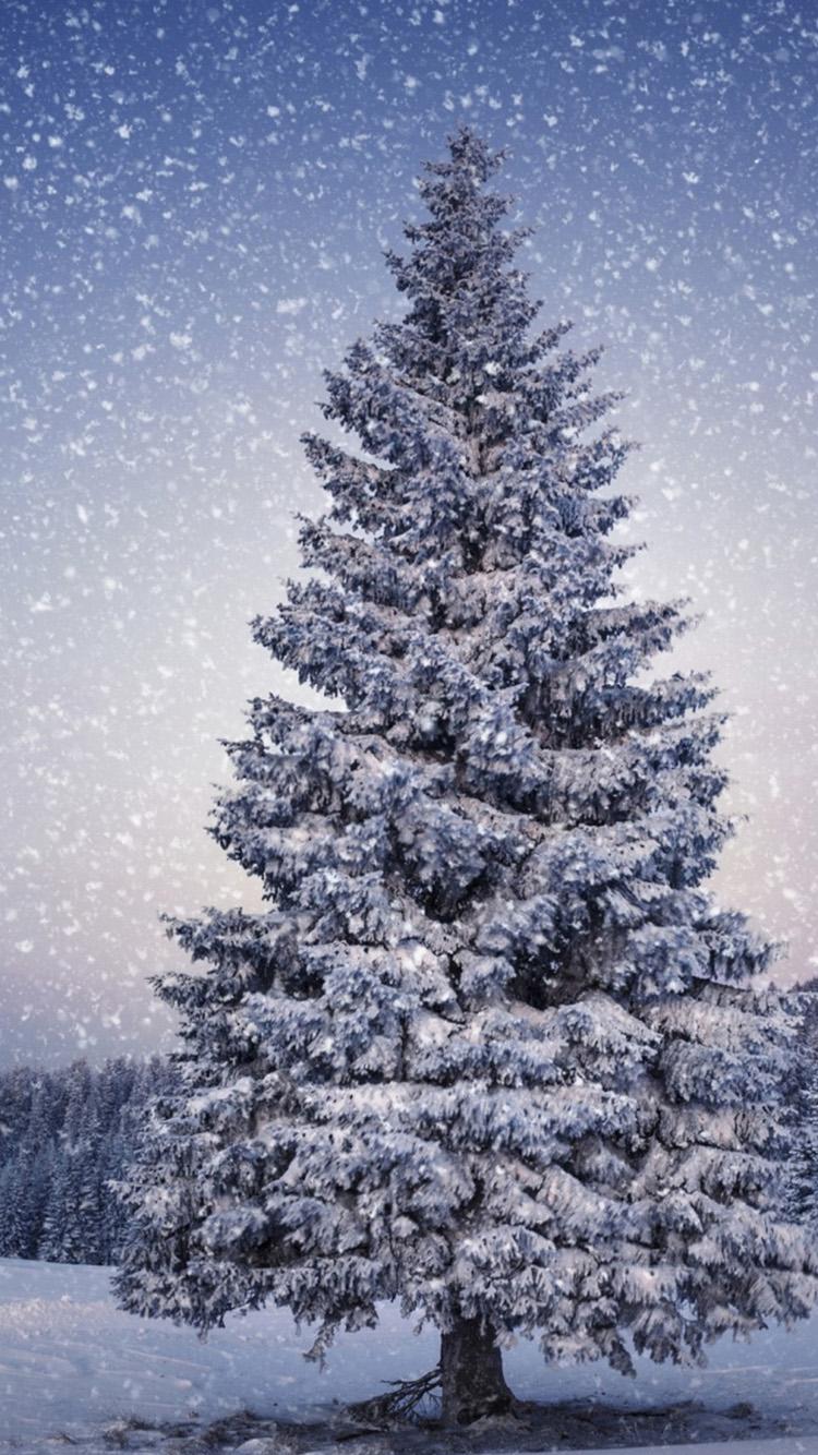 750x1334 Christmas Tree In Snow Wallpaper
