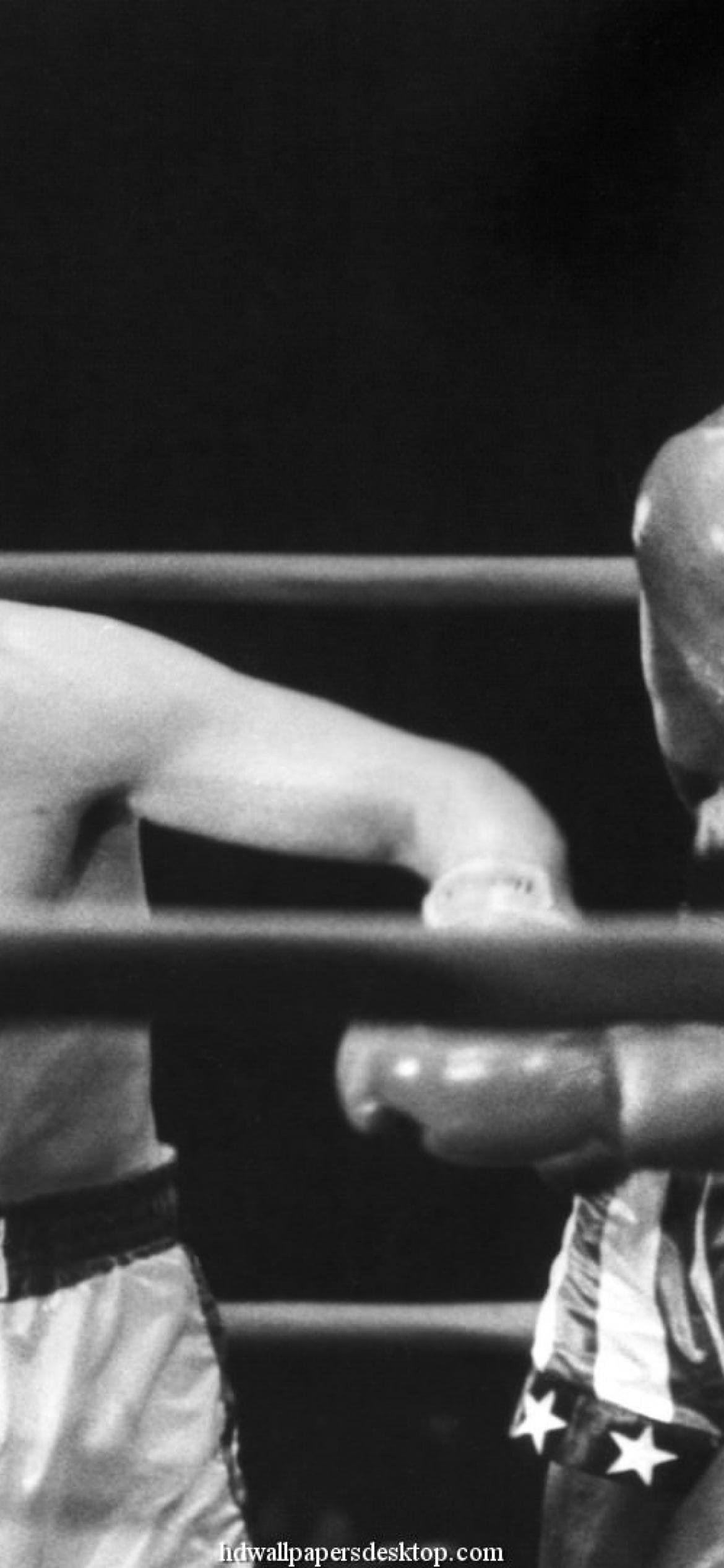 1170x2532 Download Rocky Balboa 4K Full HD For iPhoneX Mobile Wallpaper