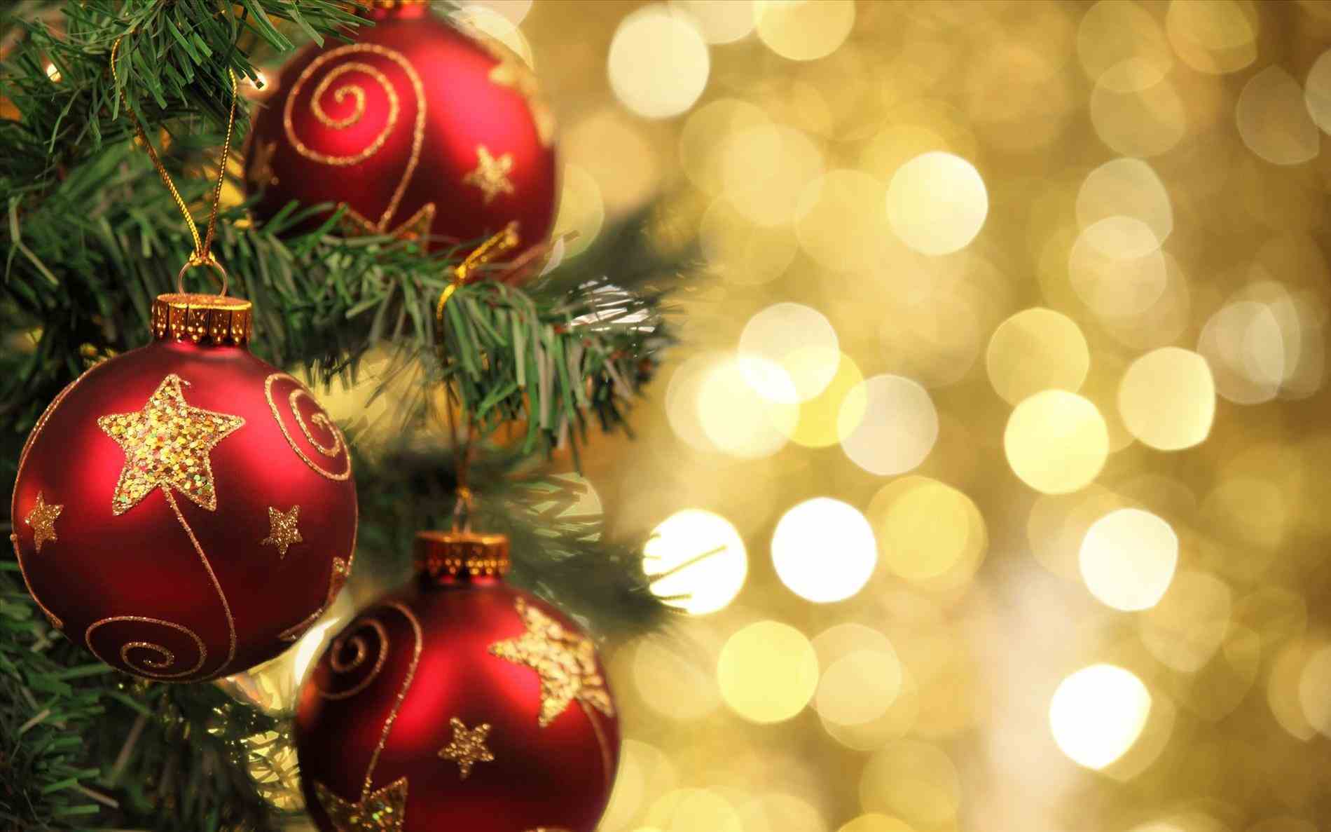 1900x1187 Has Changed Change And Treerhcom X Nice Tree Desktop Pc Mac