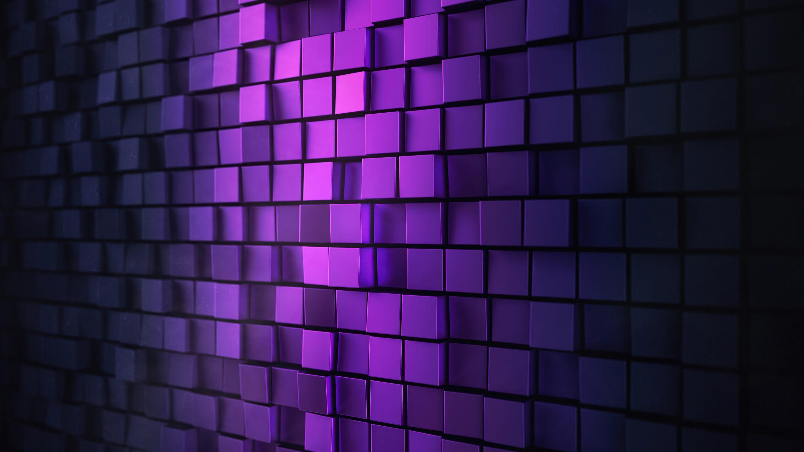 2560x1440 Purple Wallpaper