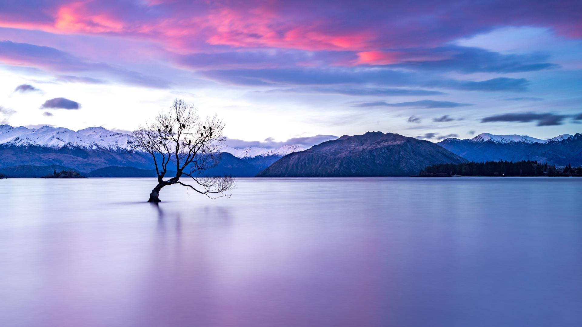 1920x1080 New Zealand Lake View 1080P Laptop Full HD Wallpaper, HD Nature 4K Wallpaper, Image, Photo and Background