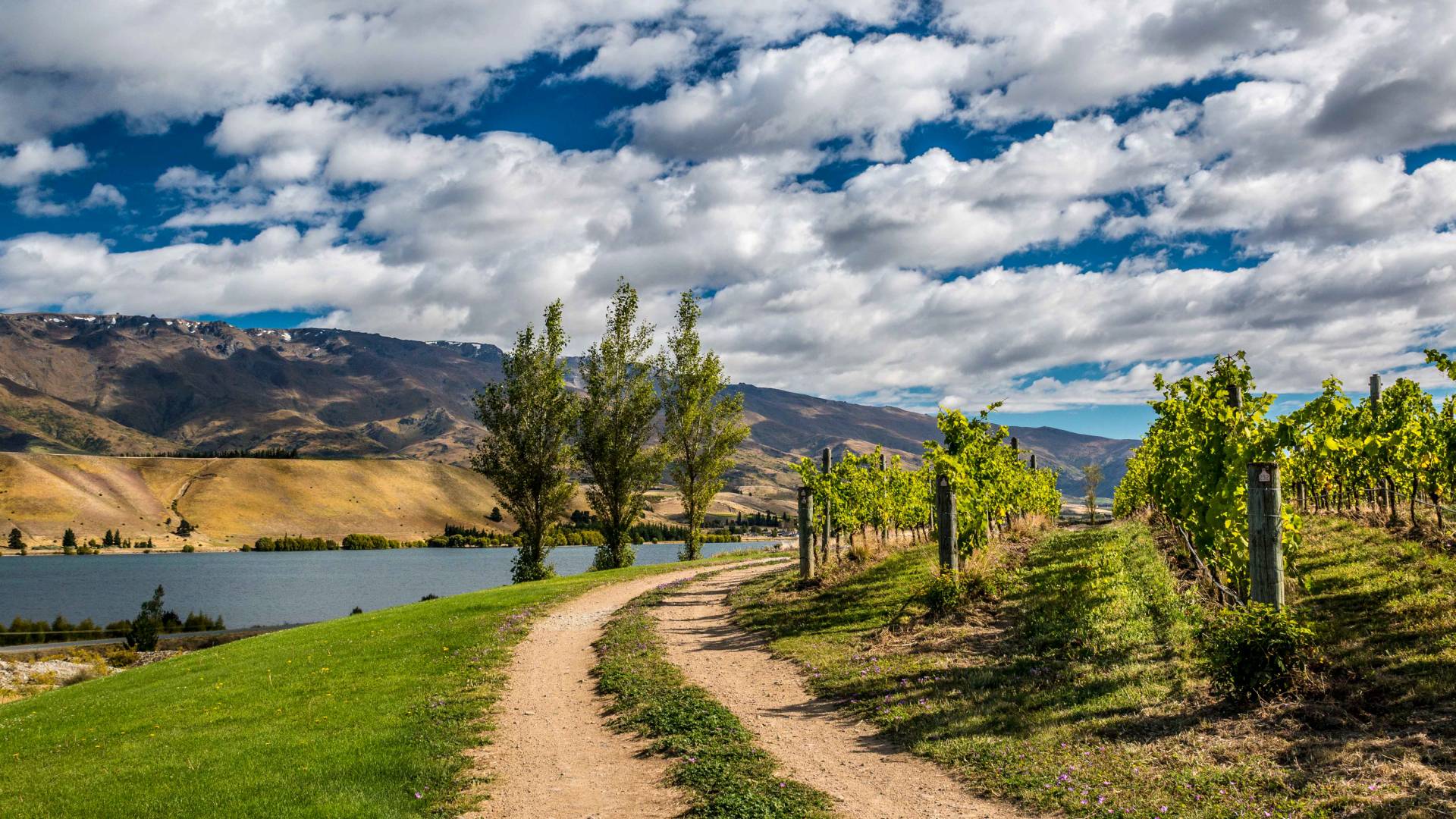 1920x1080 new zealand, mountain, river 1080P Laptop Full HD Wallpaper, HD Nature 4K Wallpaper, Image, Photo and Background