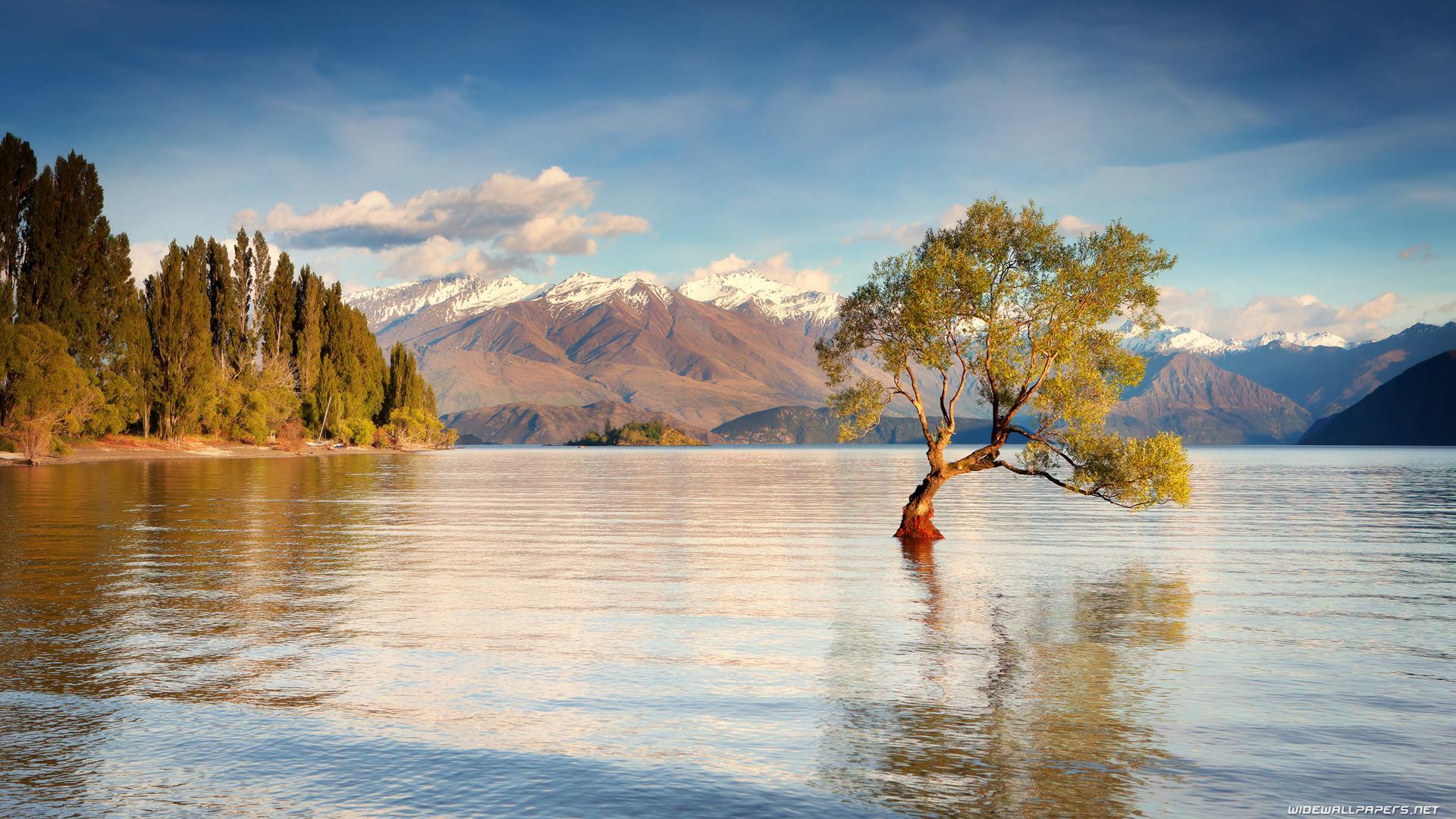 1920x1080 New Zealand desktop wallpaper HD and wide wallpaper