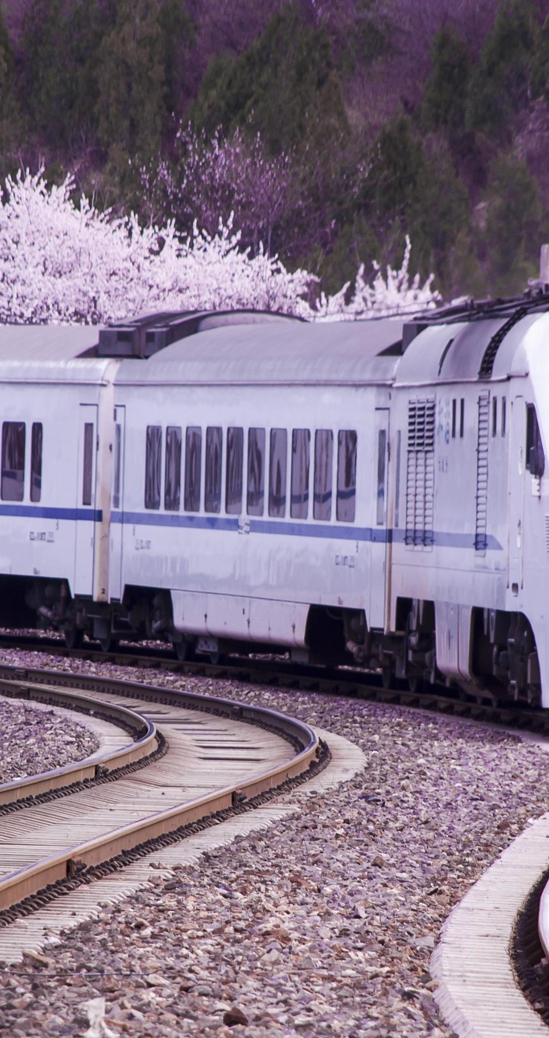 1080x2040 Sakura Blossom In The Japan Rail Pass 4K UltraHD Wallpaper