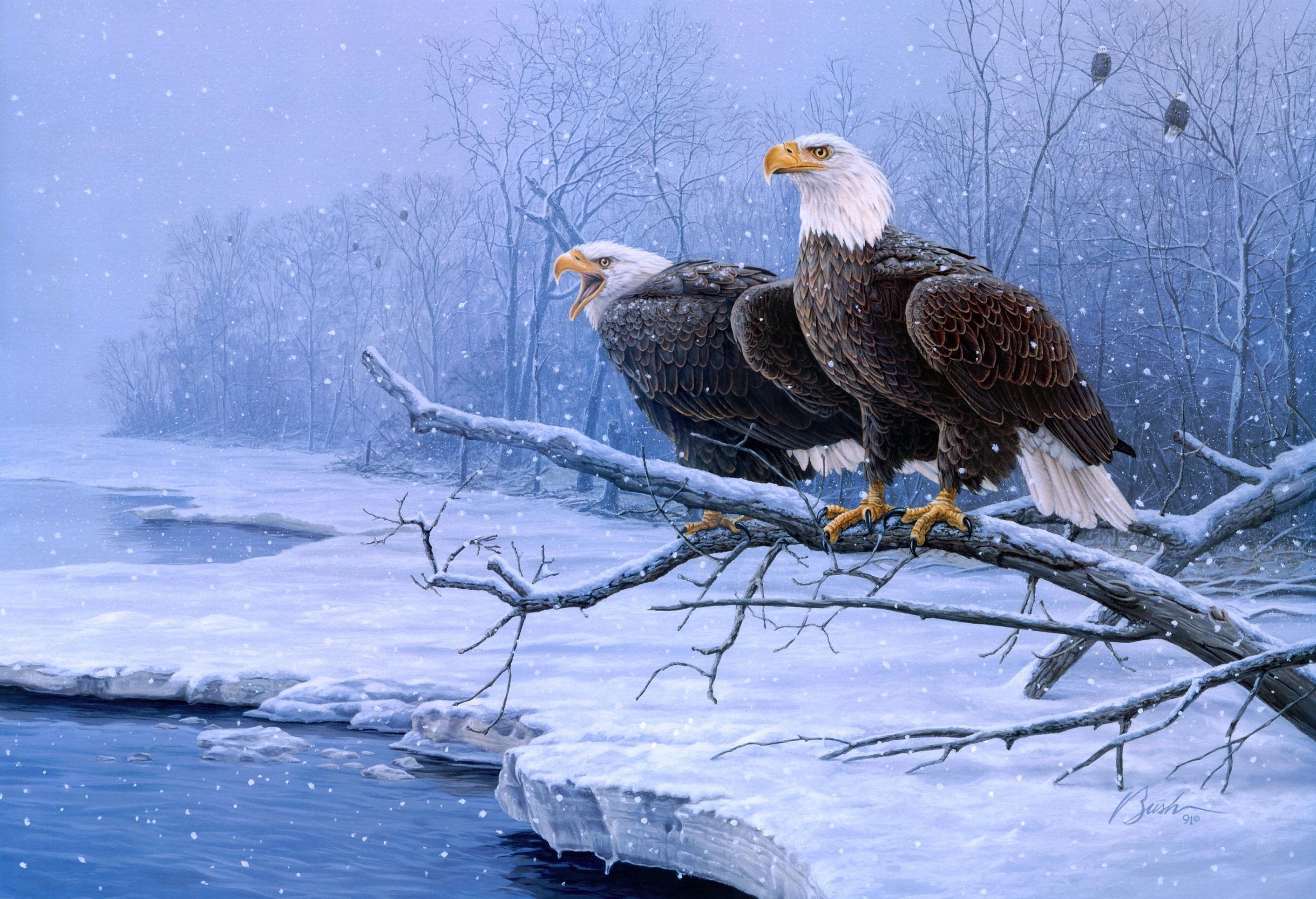 2826x1930 Eagles in Winter Painting Background​-Quality Free Image and Transparent PNG Clipart