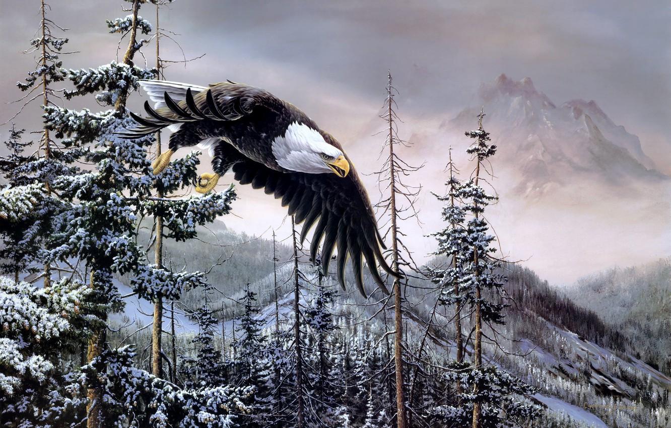 1332x850 Wallpaper winter, forest, mountains, birds, eagle, spruce, painting, bald eagle, Heaven & Earth, bald eagle, Christopher B. Walden image for desktop, section живопись