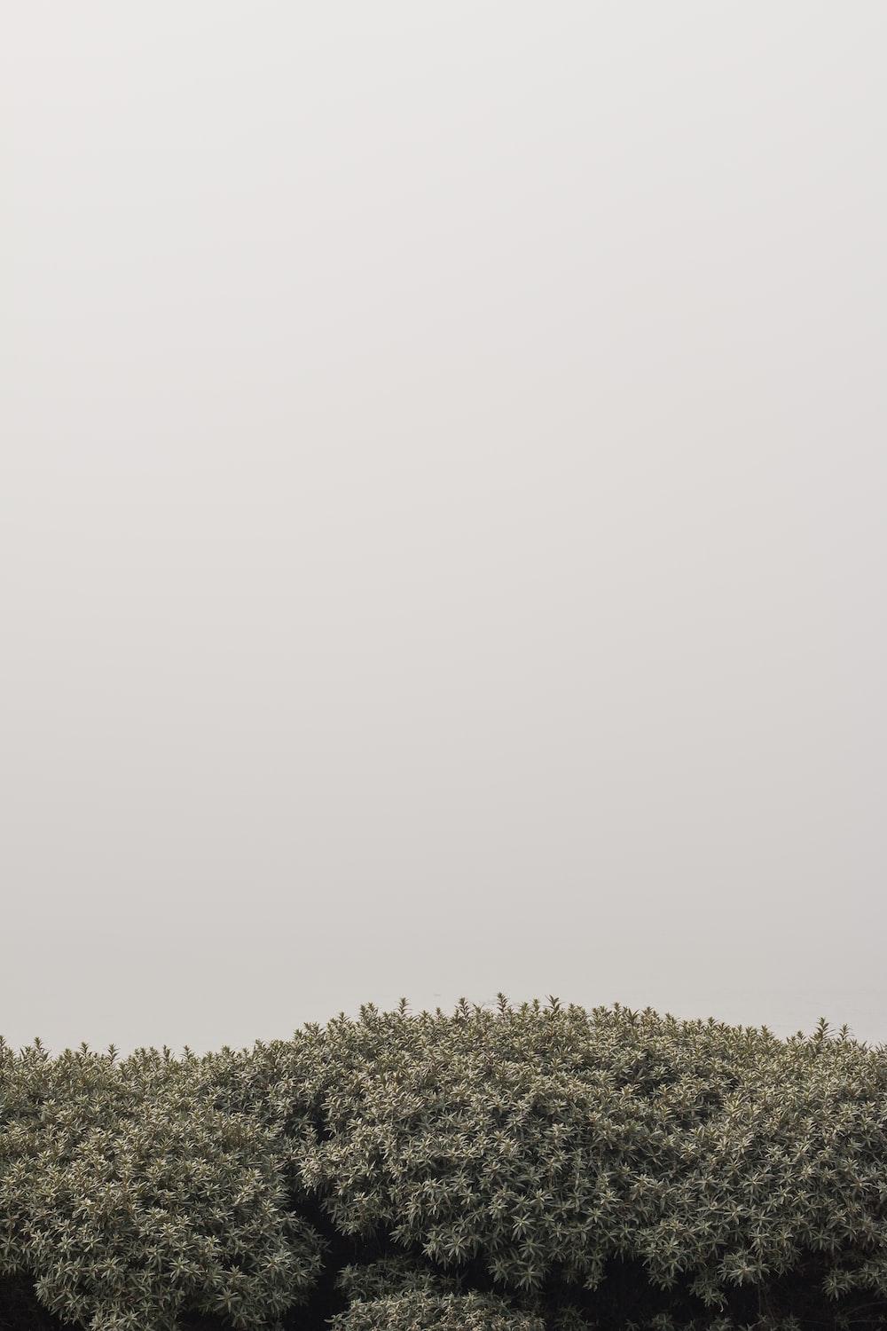 1000x1500 Minimalist iPhone Picture. Download Free Image