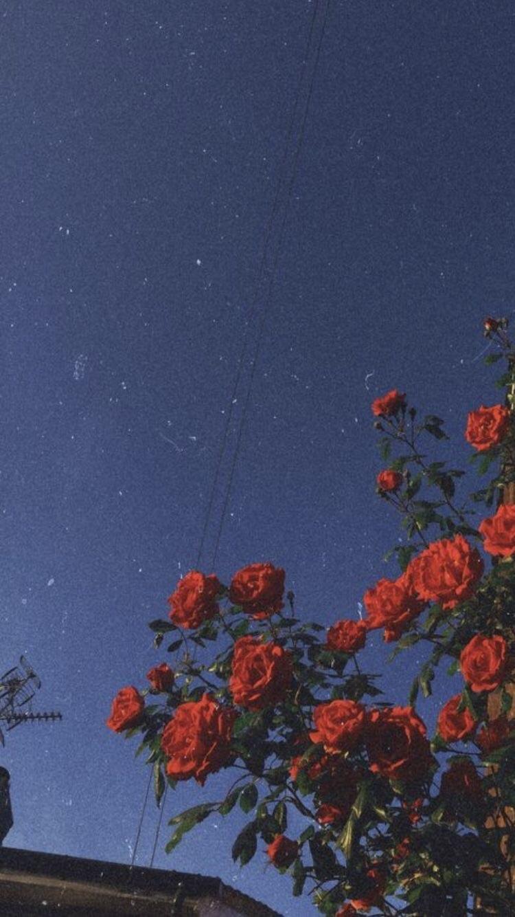 750x1334 Image about aesthetic in inspiration / chill / kpop by Mi.Dihaëydi