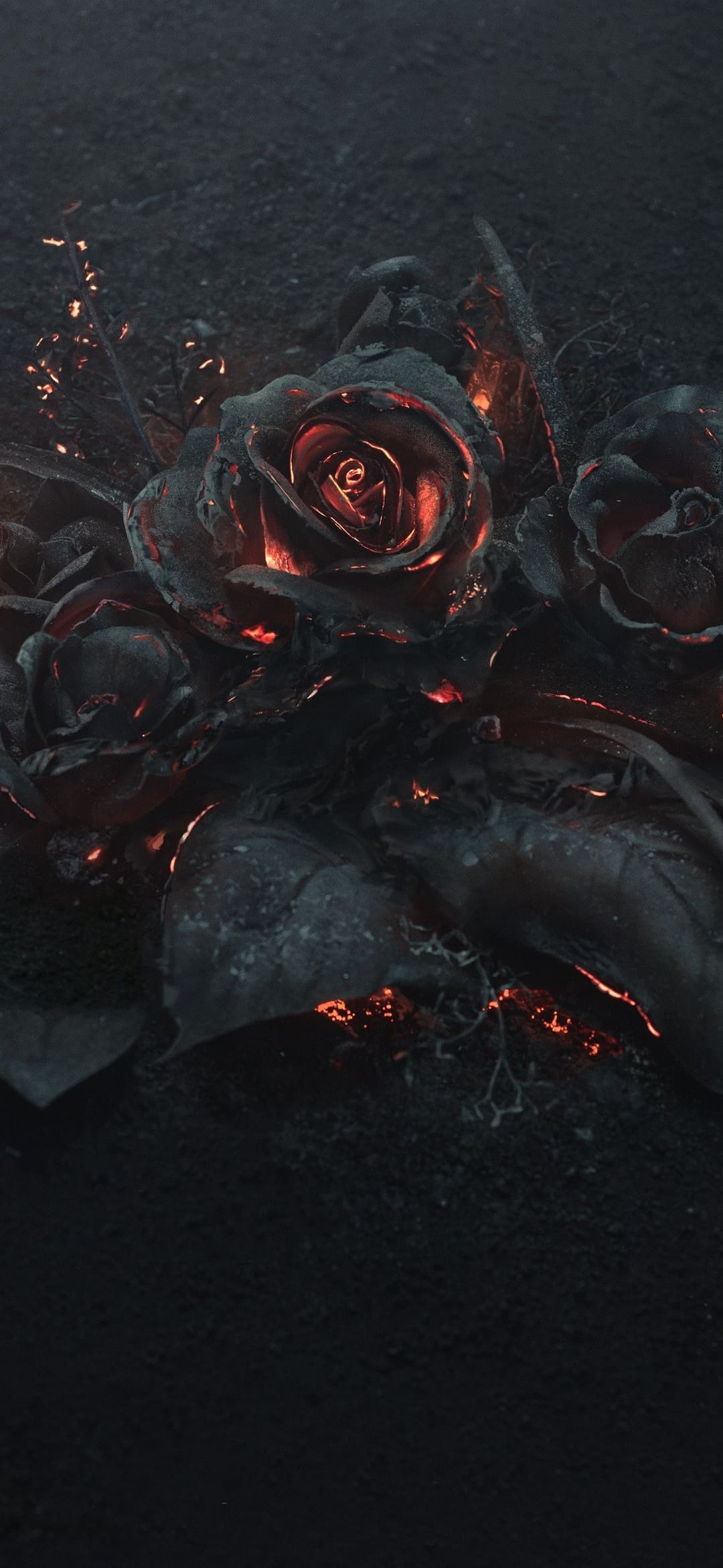 1080x2340 Flowers Wallpaper- Top Best Quality Flowers Background (HD, 4k)