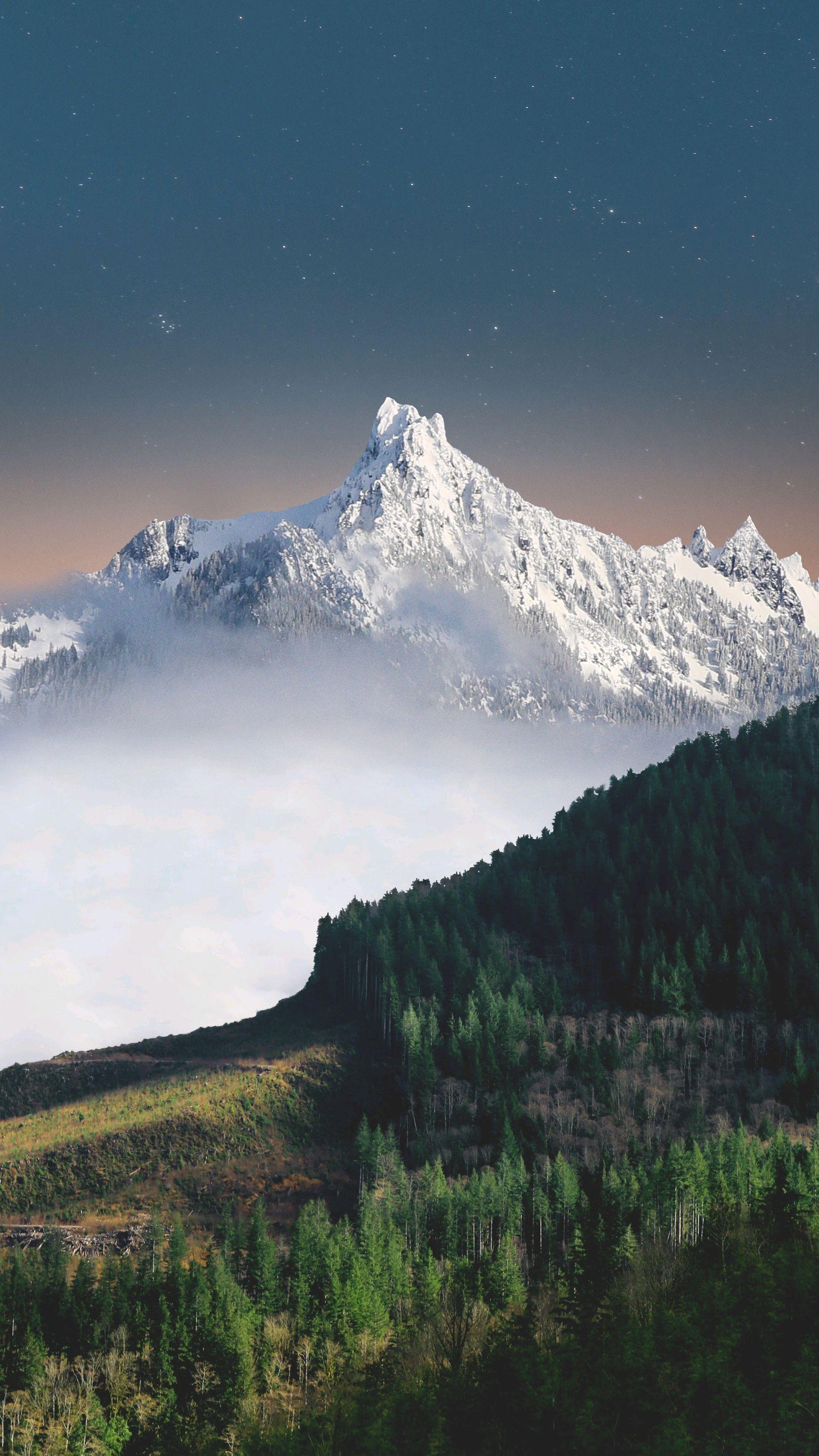 1800x3201 Snow Mountains Green Forest Nature Scenery IPhone Wallpaper Wallpaper : IPhone Wallpaper