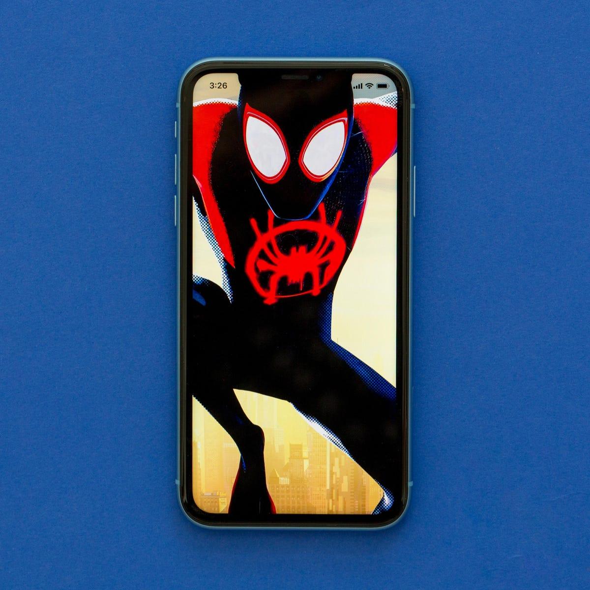 Cute iPhone 11 Wallpapers Top Free Cute iPhone 11 Backgrounds WallpaperAccess