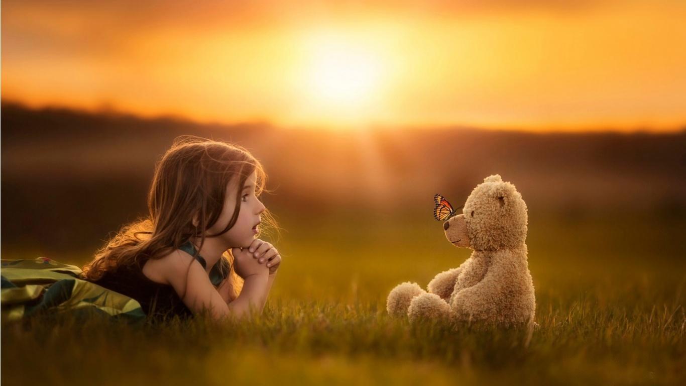1366x768 Lonely Butterfly Wallpaper 6 X 768