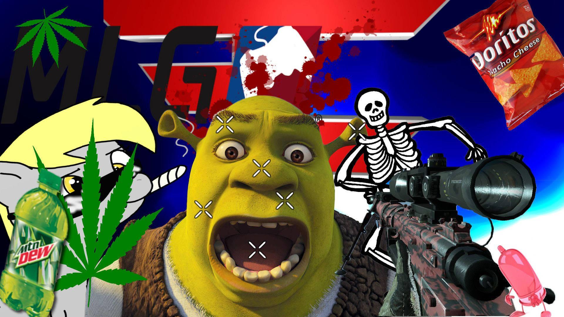 1920x1080 Download Shrek Dank Meme Wallpaper
