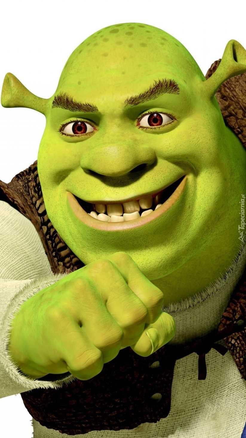 Shrek Meme Wallpapers Top Free Shrek Meme Backgrounds Wallpaperaccess