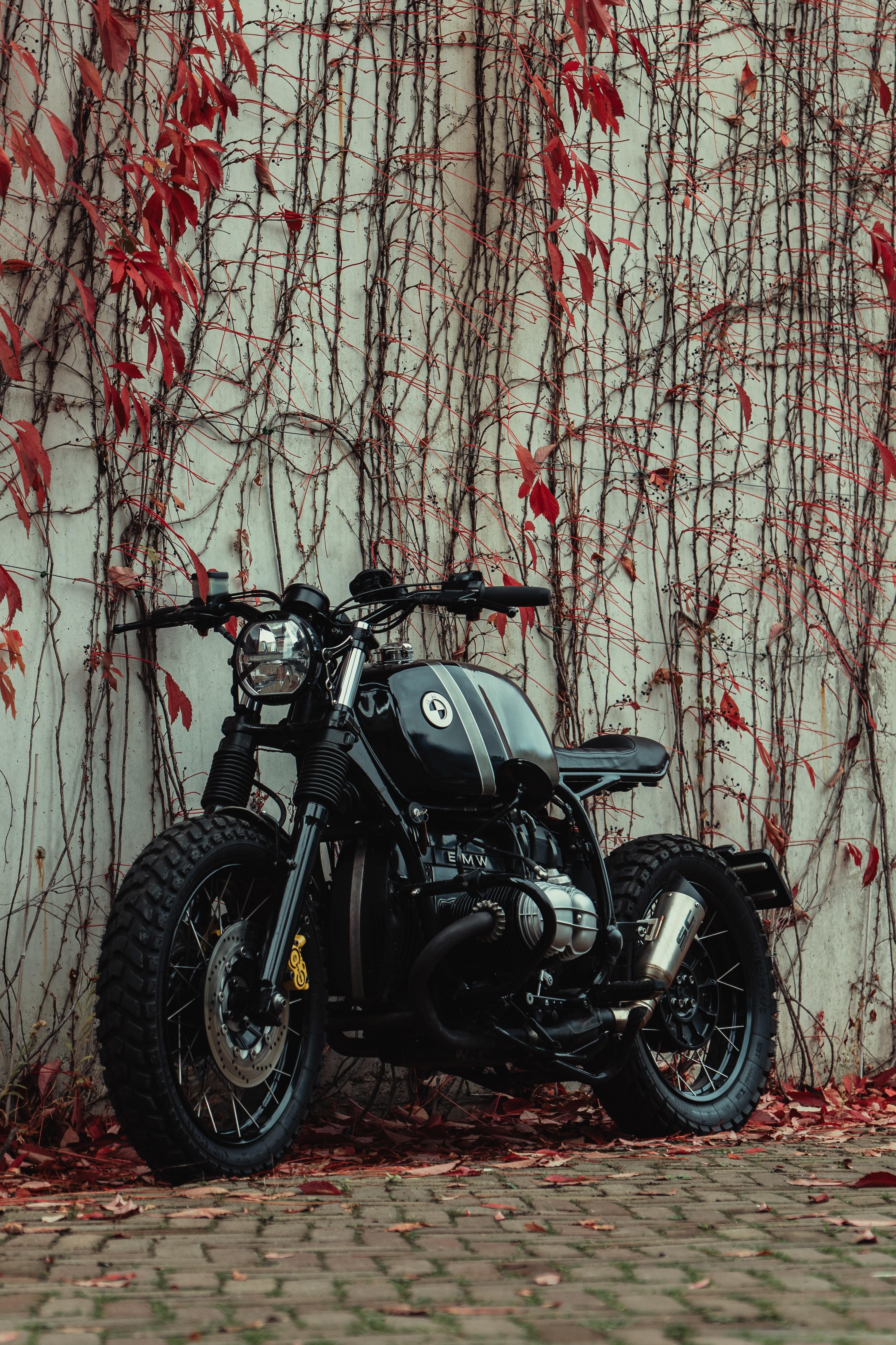 3351x5027 Ducati Scrambler Photo, Download Free Ducati Scrambler & HD Image