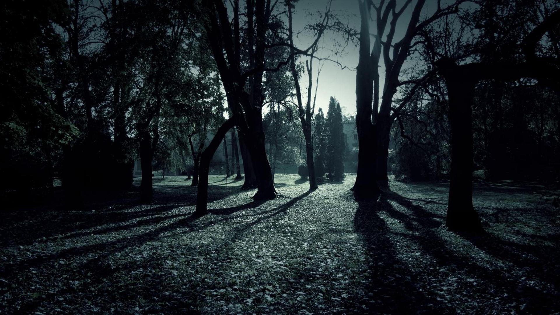 1920x1080 Shadows Wallpaper