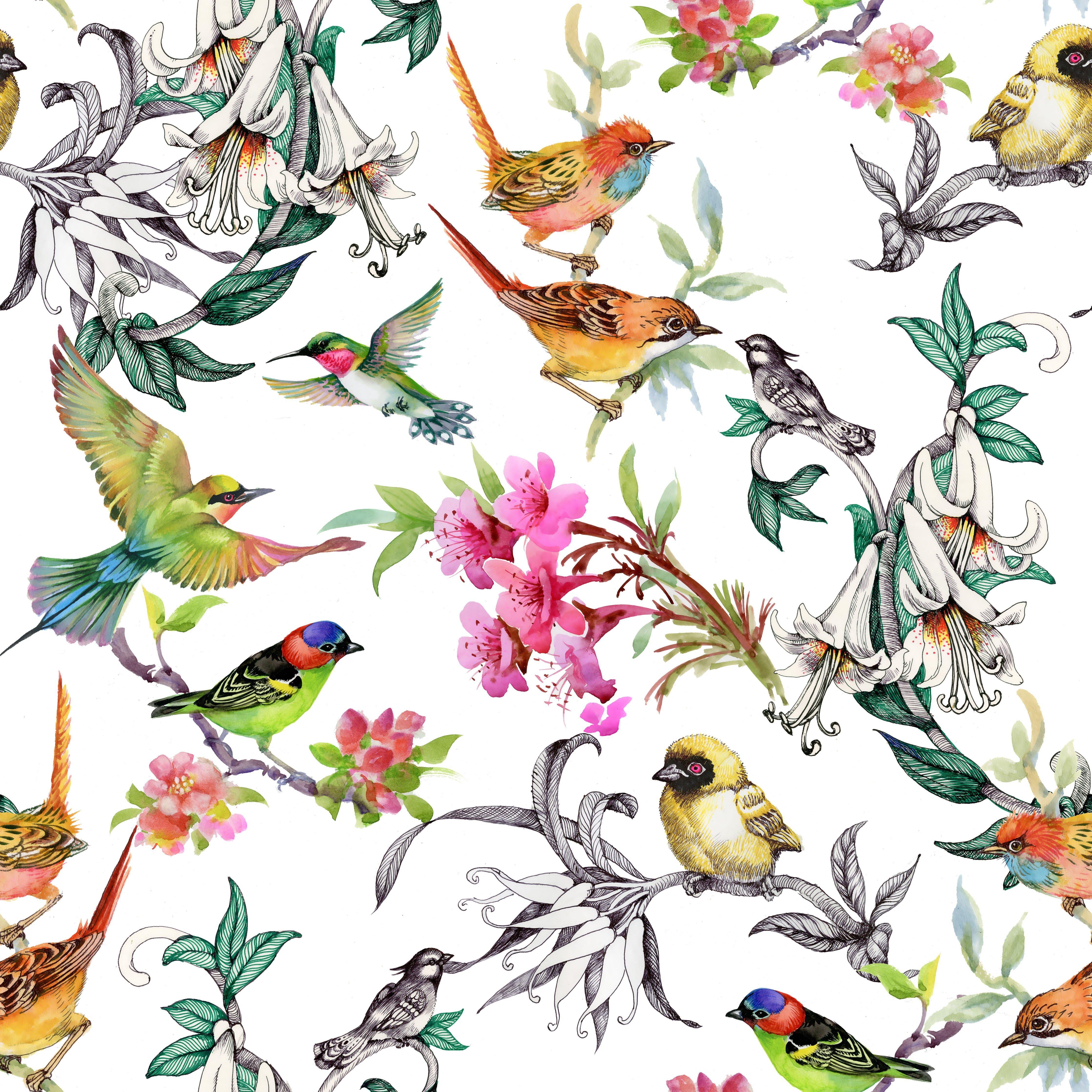 4472x4472 Red Barrel Studio® Atari Tropical Summer and Exotic Birds Peel and Stick Wallpaper Roll