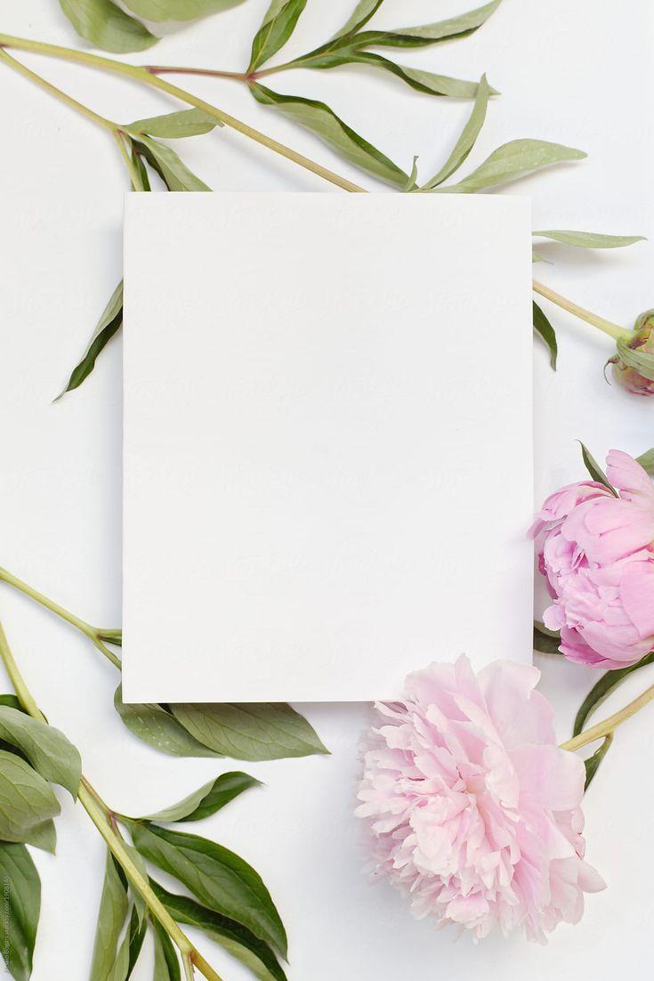 735x1102 Blank Card With Pink Flowers by Alessio Bogani. Flower background wallpaper, Wholesale greeting cards, Instagram frame template