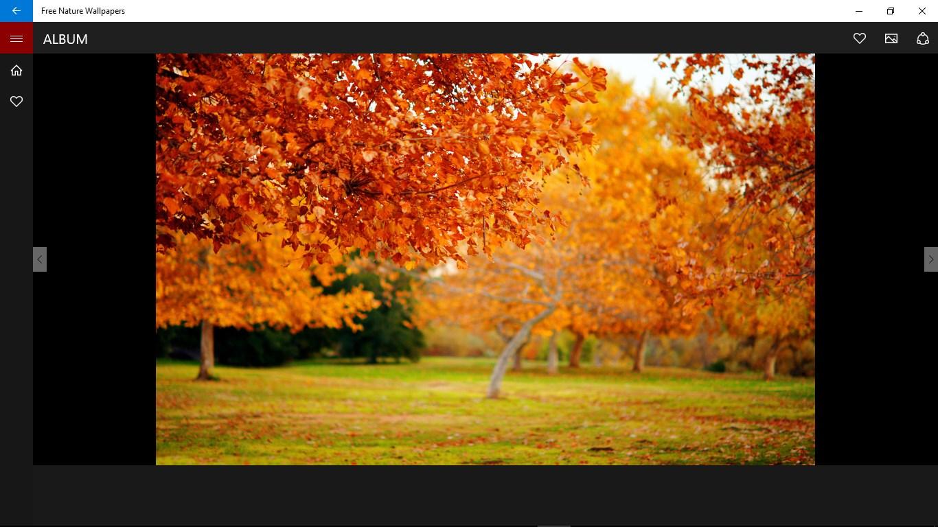 1366x768 Microsoft Apps