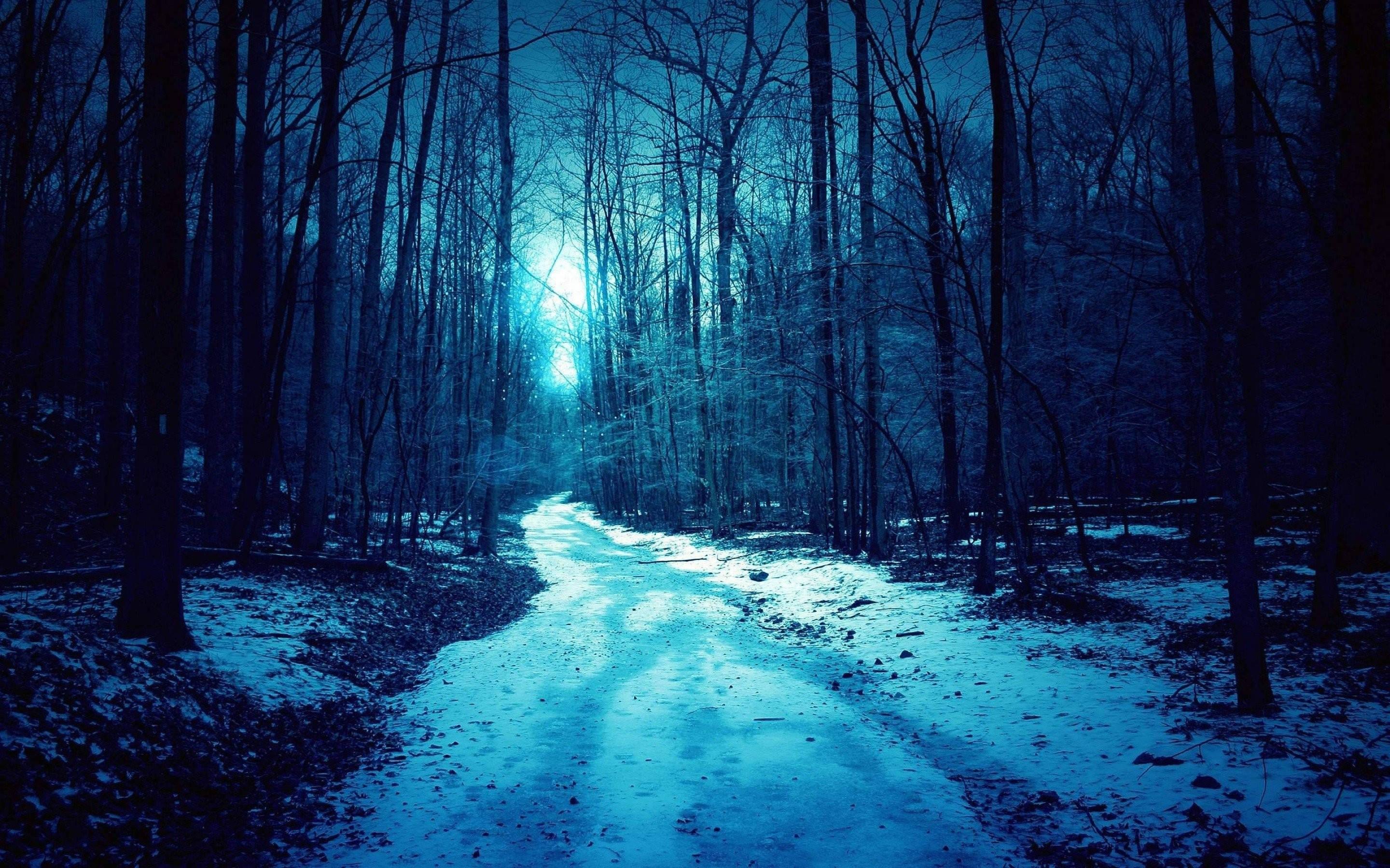2880x1800 Download Dark Blue Aesthetic Dead Forest Wallpaper
