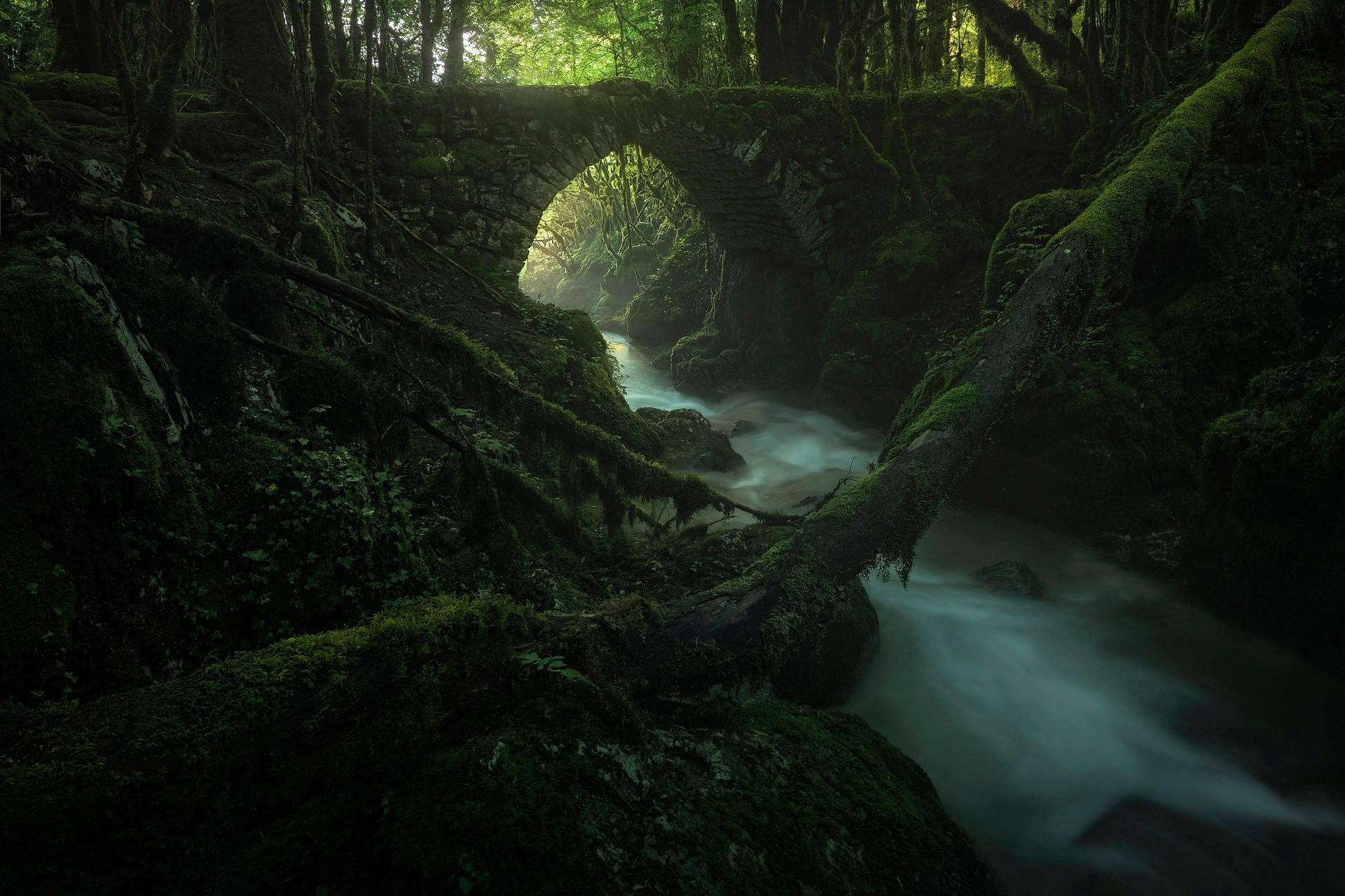 1920x1280 Wallpaper / dark, nature, wood, plants, water, bridge, green, moss, river, deep forest, forest, arch free download