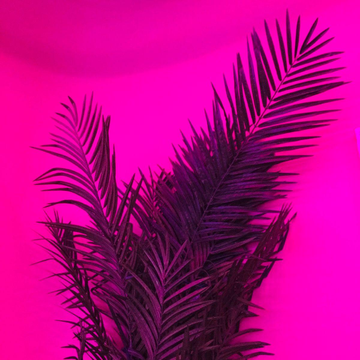 Neon Baddie Wallpapers Top Free Neon Baddie Backgrounds WallpaperAccess