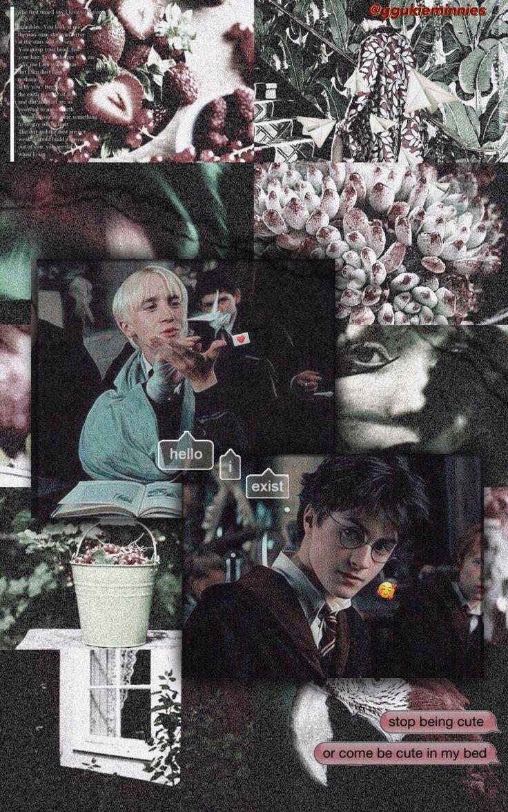 736x1177 Drarry Wallpaper