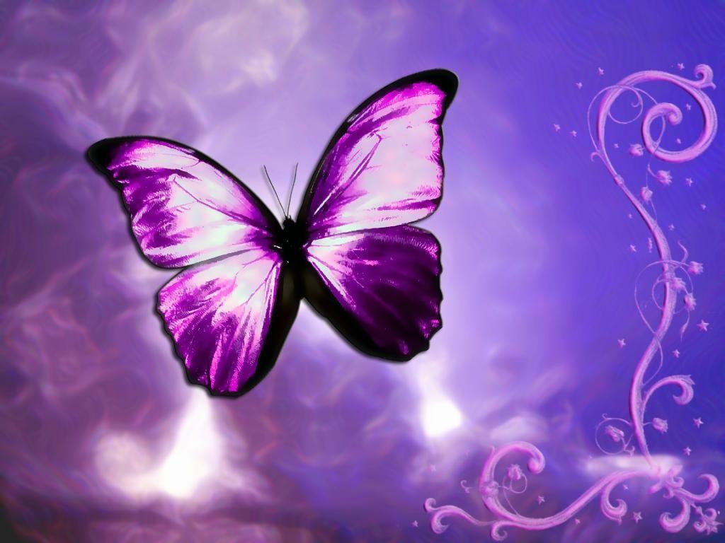 Hình ảnh con bướm 1024x768.  Hình nền HD hình nền con bướm màu tím tưởng tượng