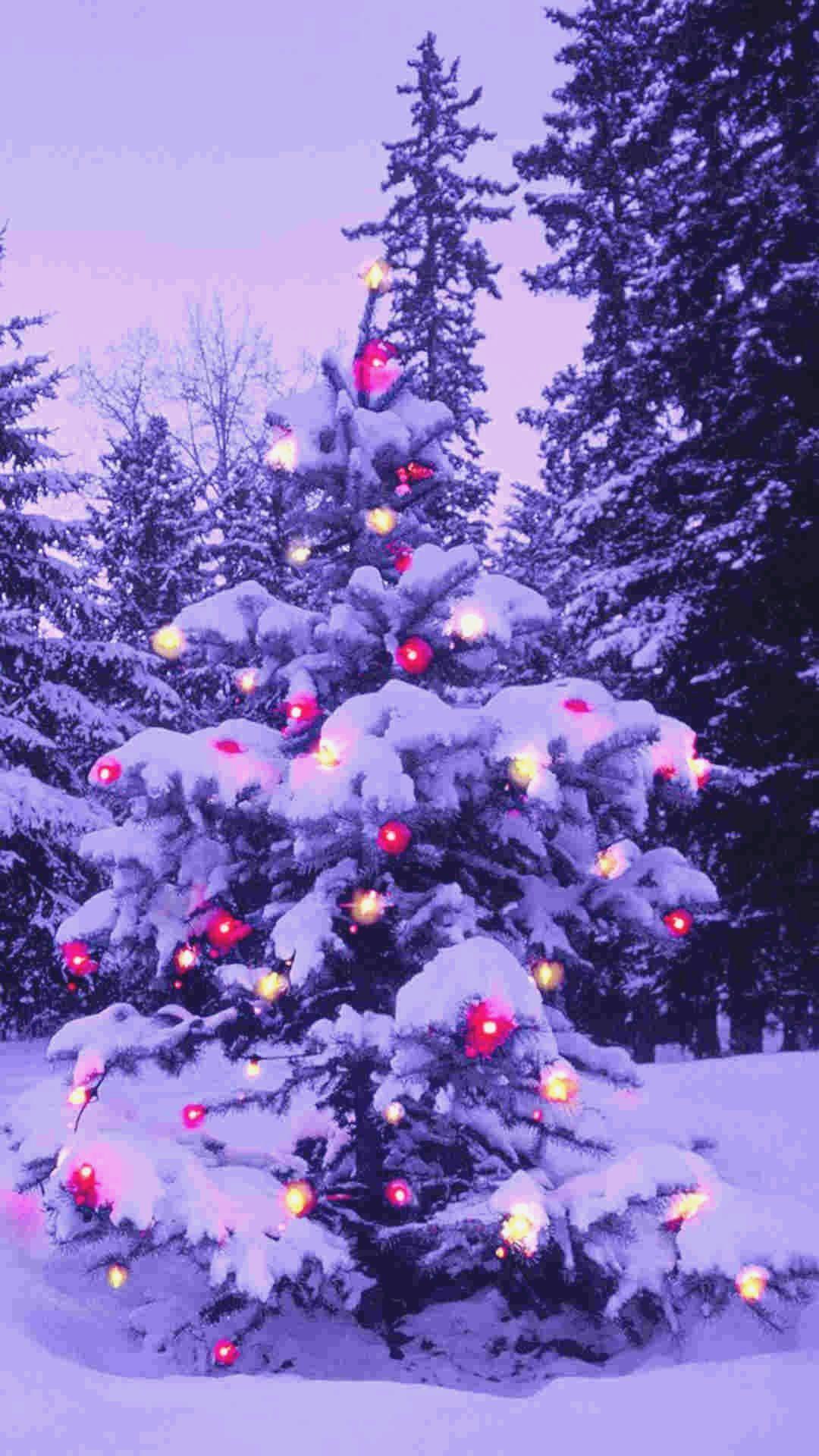 1080x1920 Christmas Snowflake iPhone Wallpaper