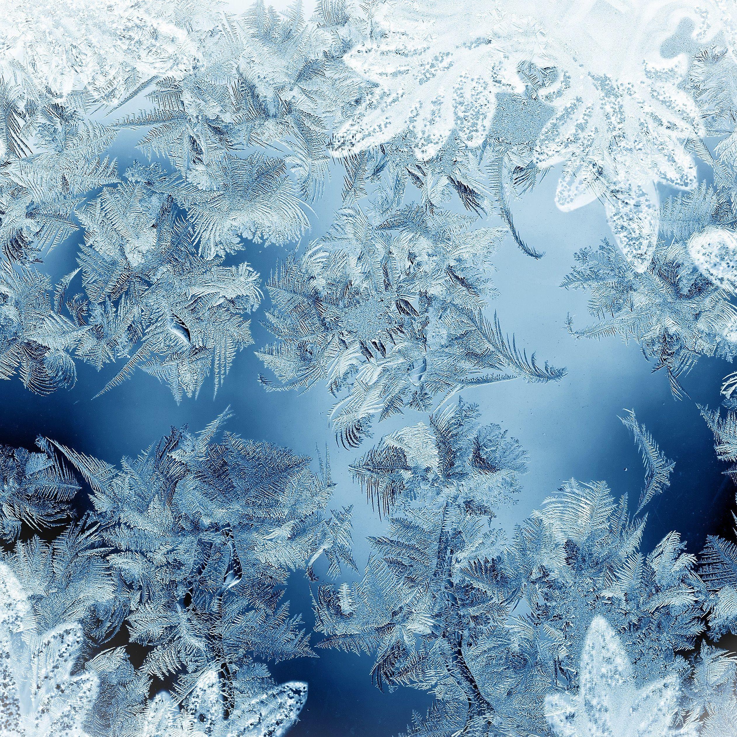 2524x2524 Festive Christmas wallpaper for iPhone and iPad