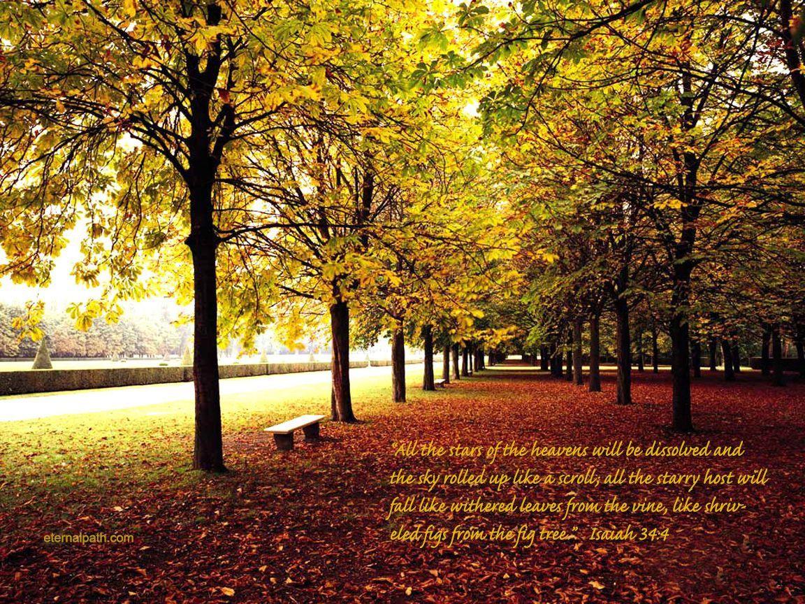 1152x864 Isiah 34:4. Autumn trees, Fall wallpaper, Fall background